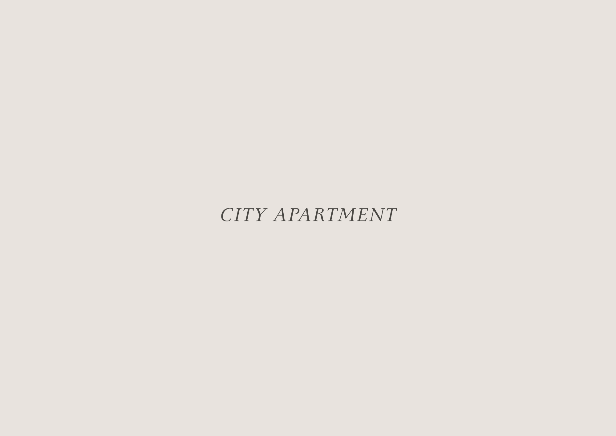 City Apartment / In Progress