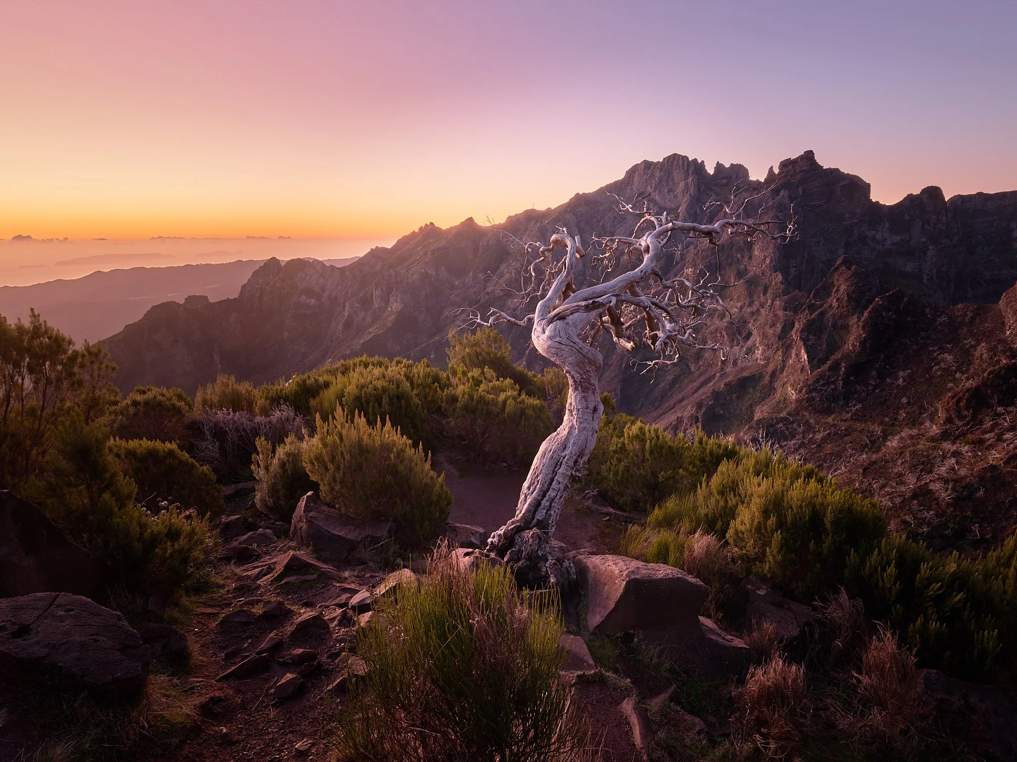 Morgenlicht auf Madeira