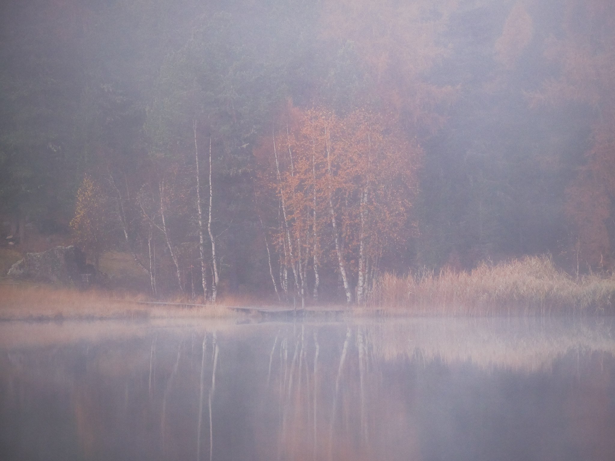 Im Nebel. Engadin im Herbst.