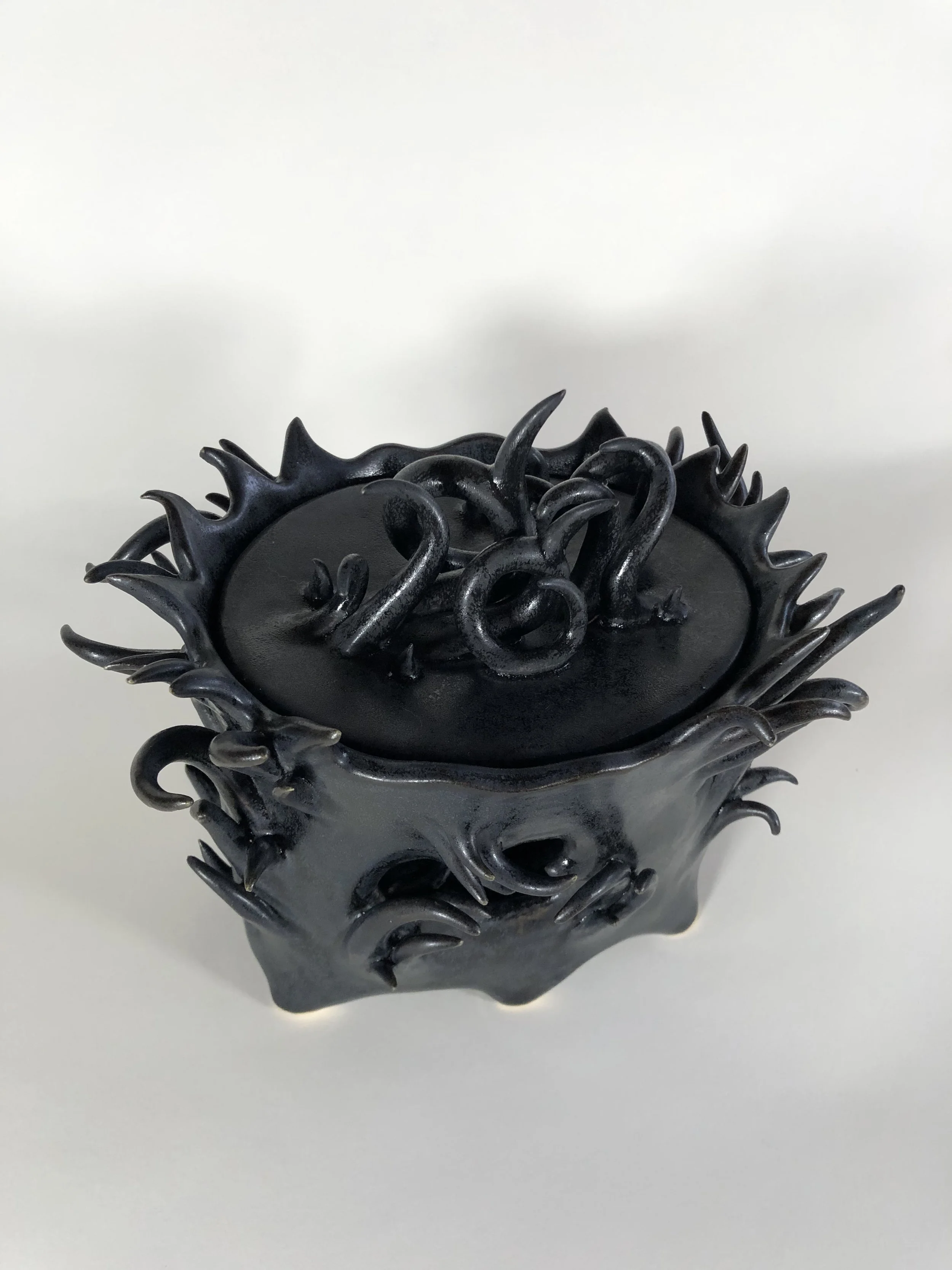 Handmade Ceramic jar by Eddy Lou