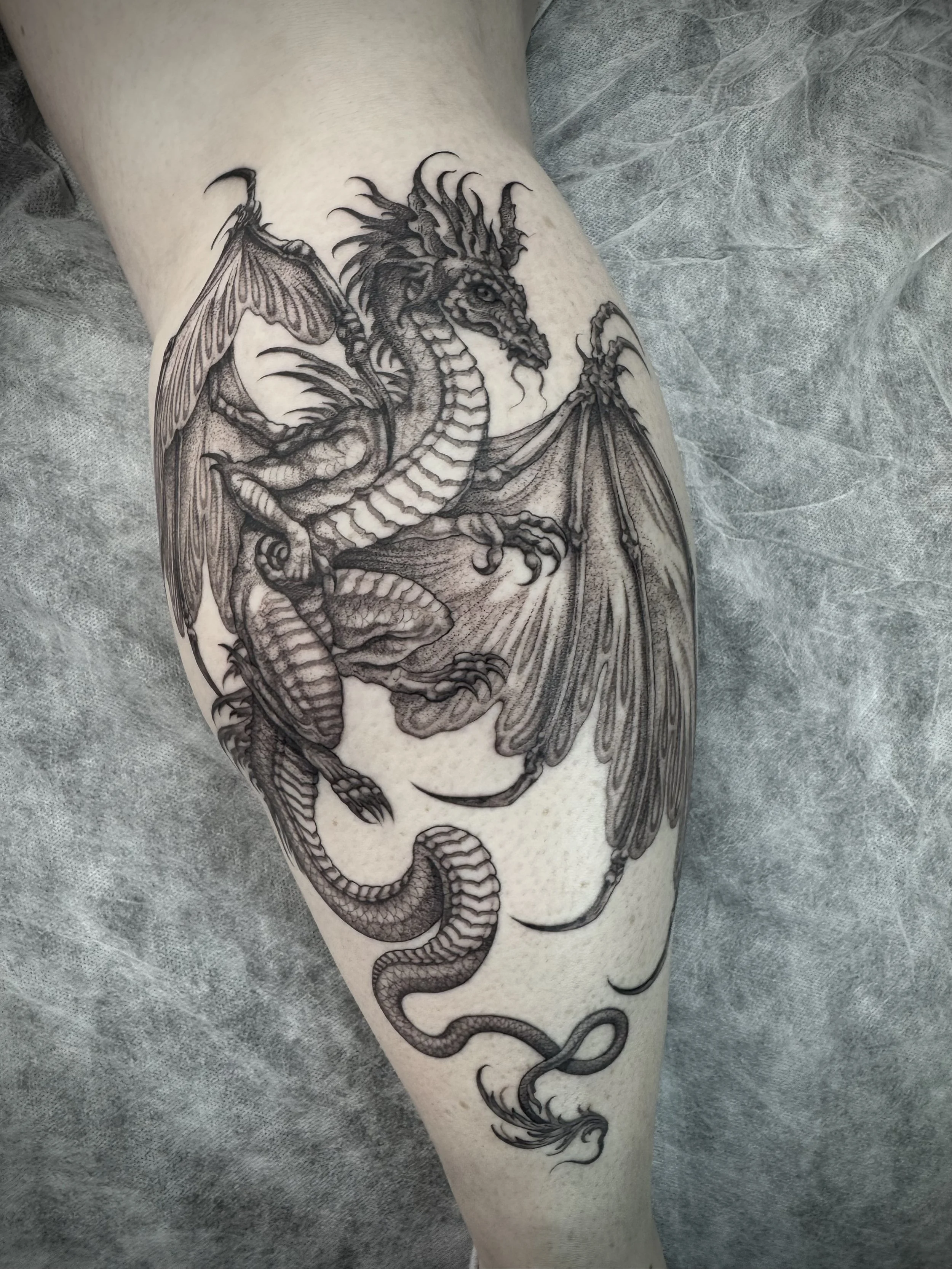 Fine line, black and grey tattoo by Eddy Lou of a fantasy dragon. Done at FLT Tattoo Studio in Newcastle NSW