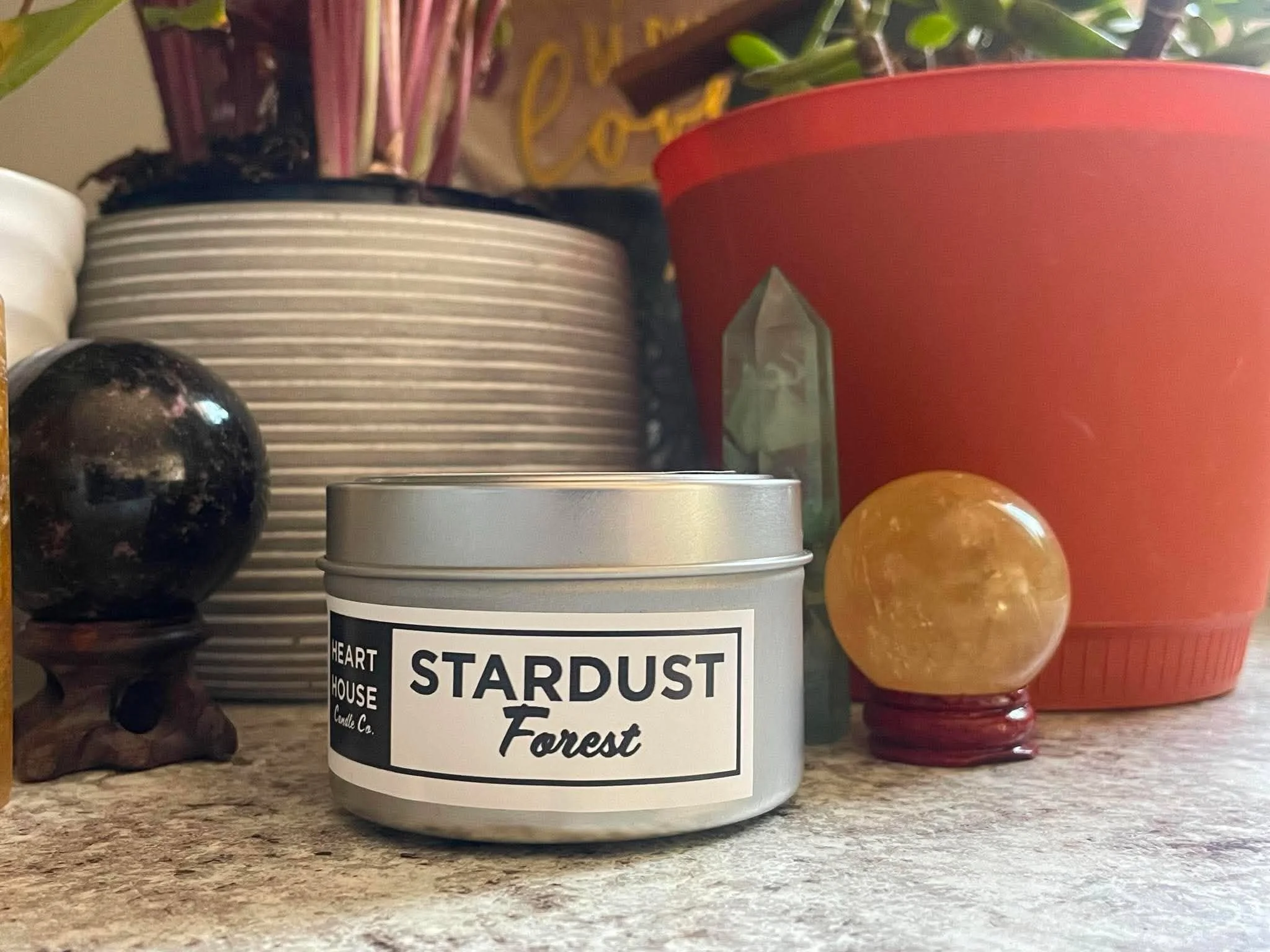 Stardust Forest