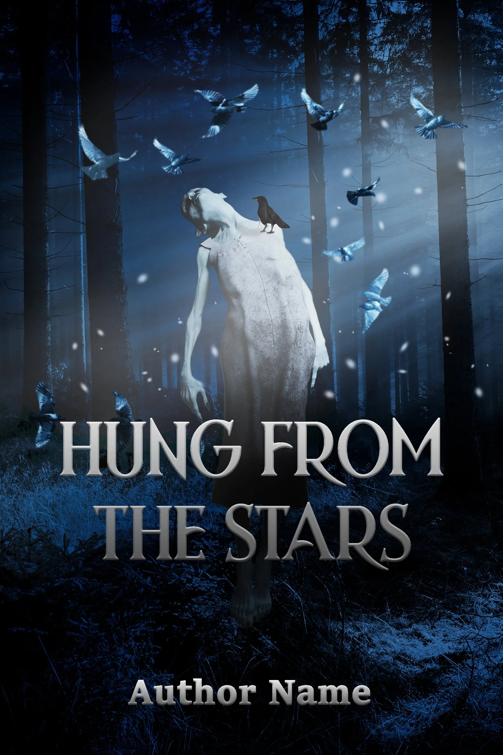 hung from the stars.jpg