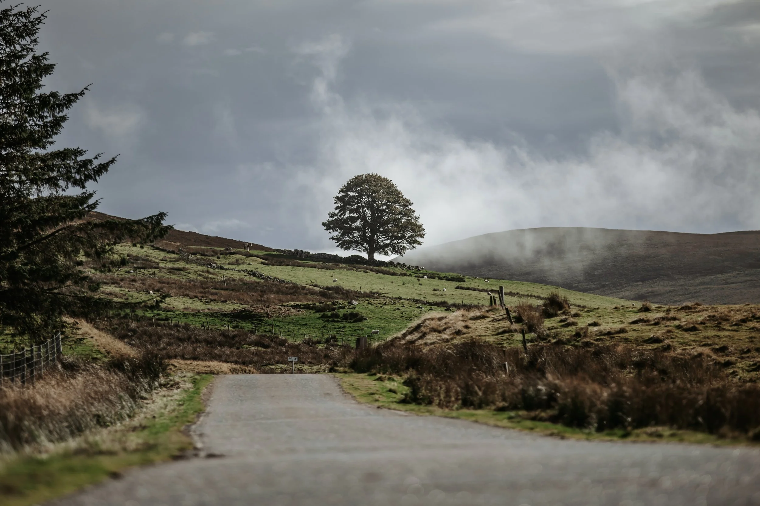This month&rsquo;s mission is to take as many new photos as possible for some new bits for Christmas, which means a lot of abandoning the car in passing places while running like a mad man to capture some autumn shots 😅 Like this one of the iconic t