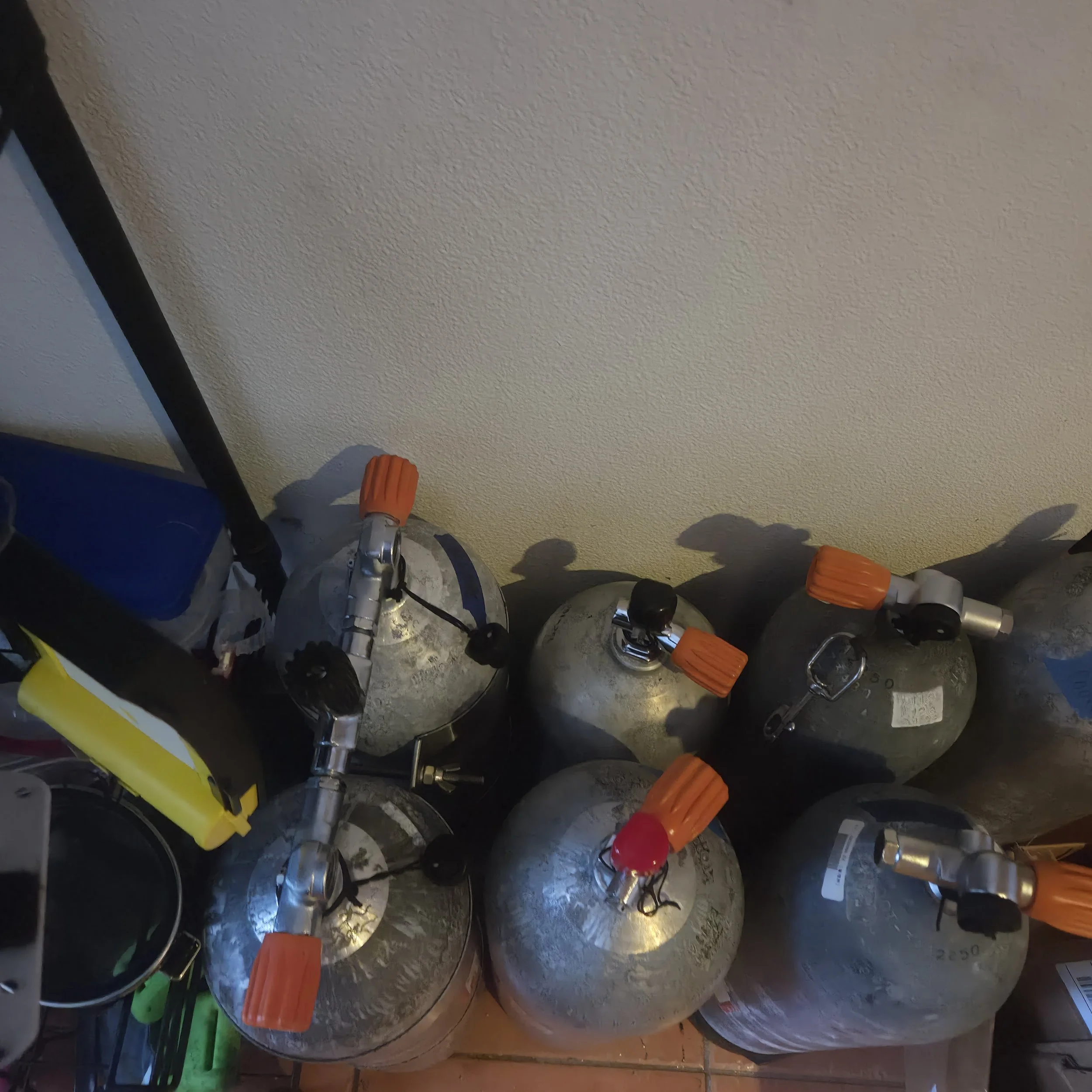 20260523_164210.jpg