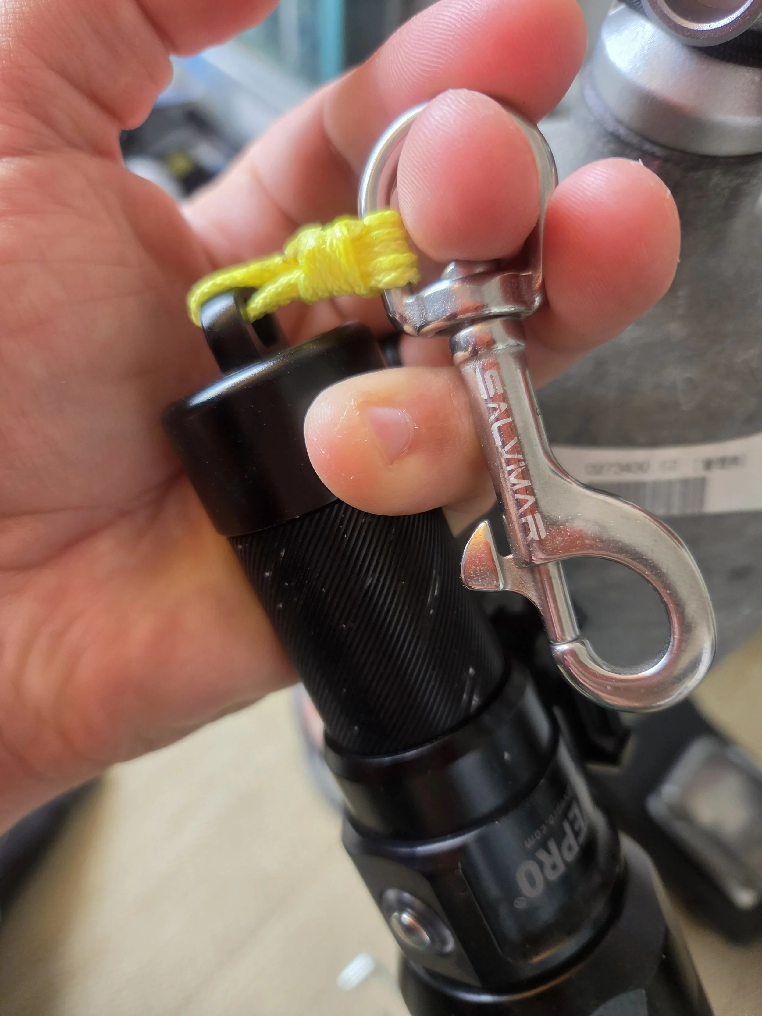 Stainless Steel Bolt Snap