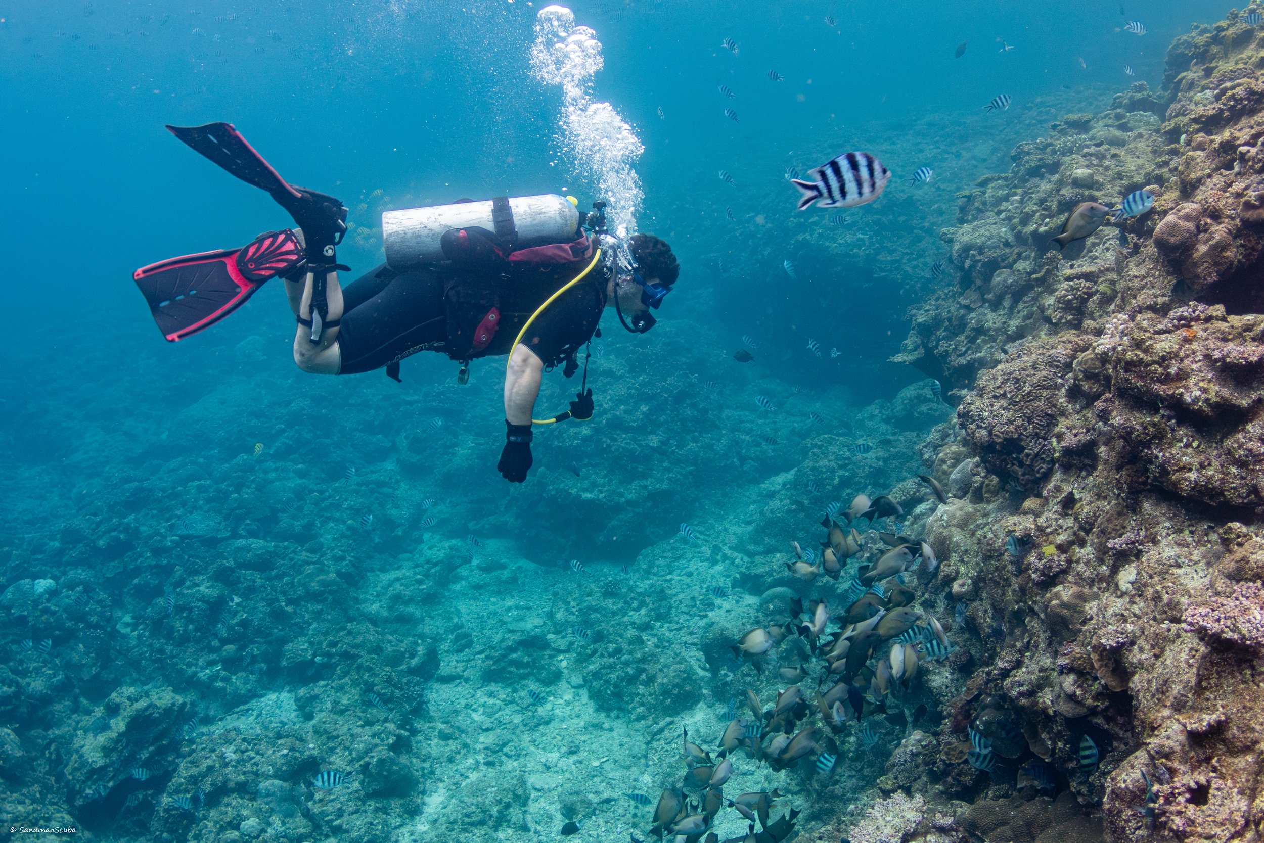 Scuba Diver Refresher
