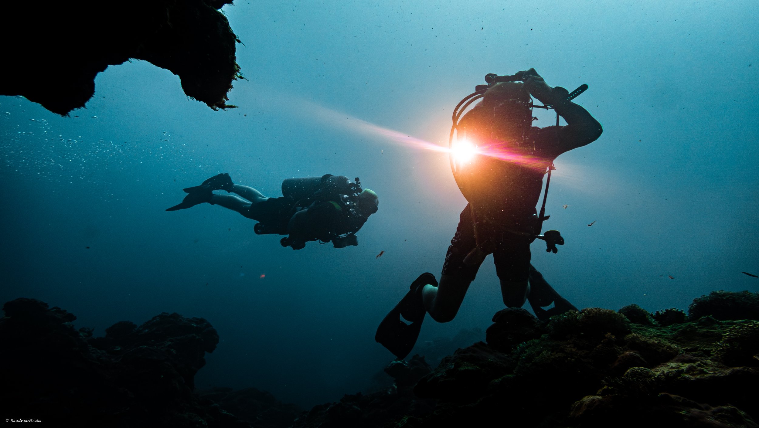 Night/Low-Vis Diver