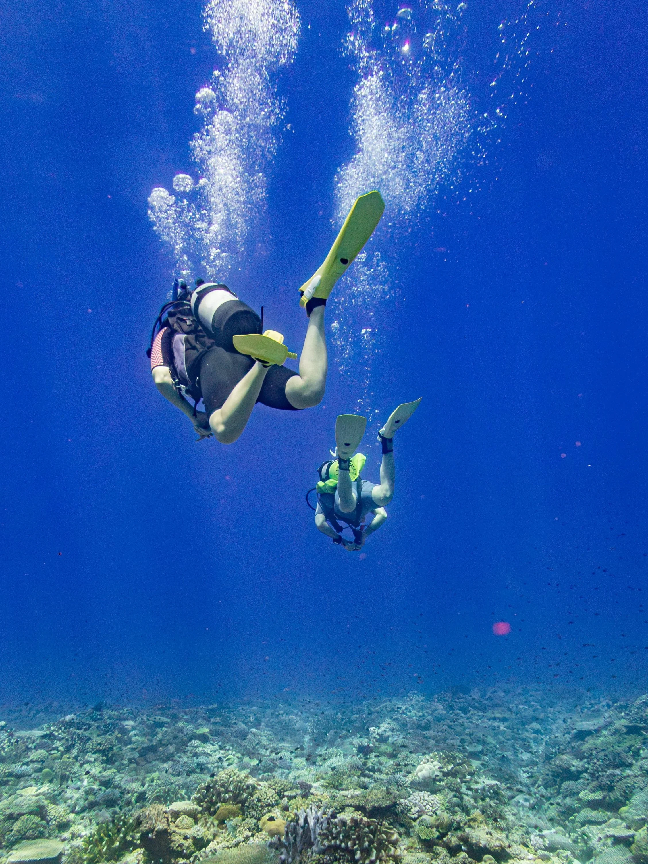 Introductory to SCUBA