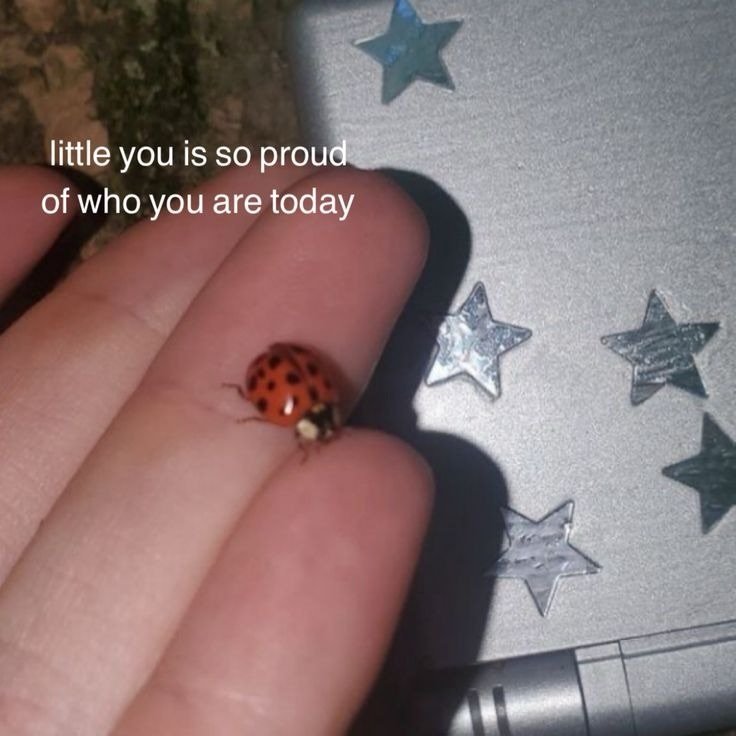 Mood board for this week (can you believe I&rsquo;m going on tour with THEE @_laurencurrie_ to promo her incredible new book?? Book launch event links in my bio 💌)