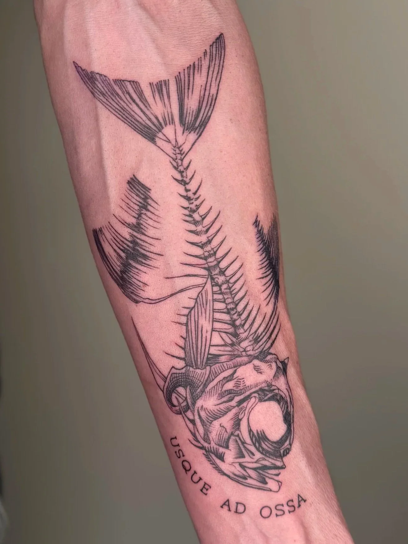 Tatoeage van een anatomisch menselijk schedel en een vleugel, met een Latijnse inscriptie eronder.