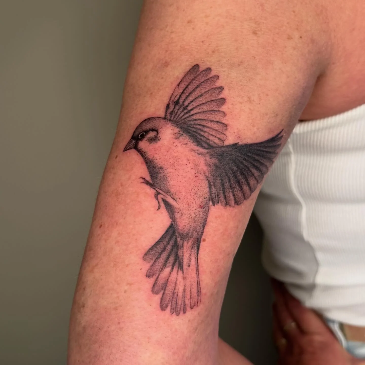 Tattoo van een mus op de bovenarm, getekend in zwart-grijstinten.
