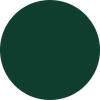 A plain, solid green circle with no additional details or objects.