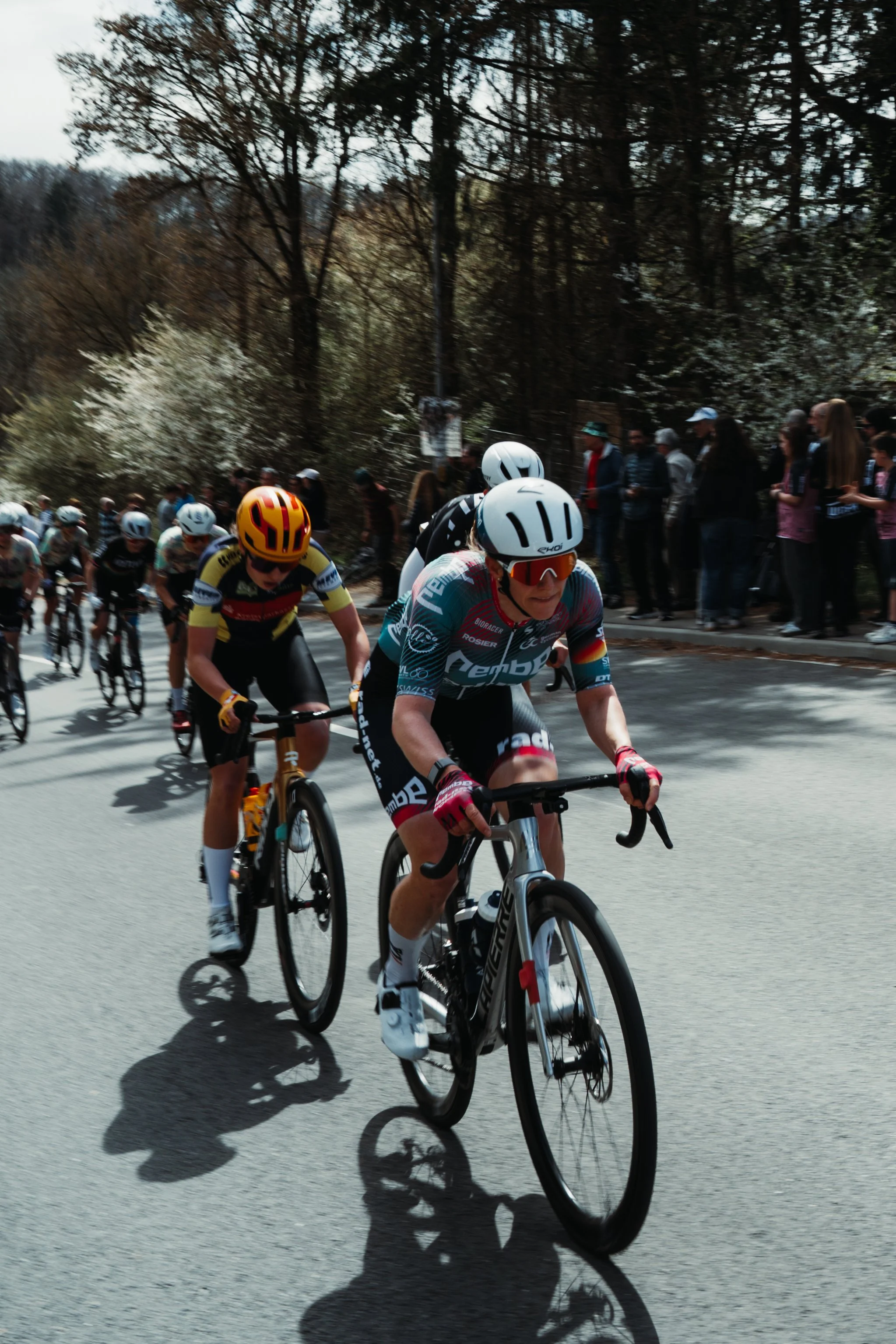 Cyclists in a race riding on a road lined with trees and spectators standing on the side.