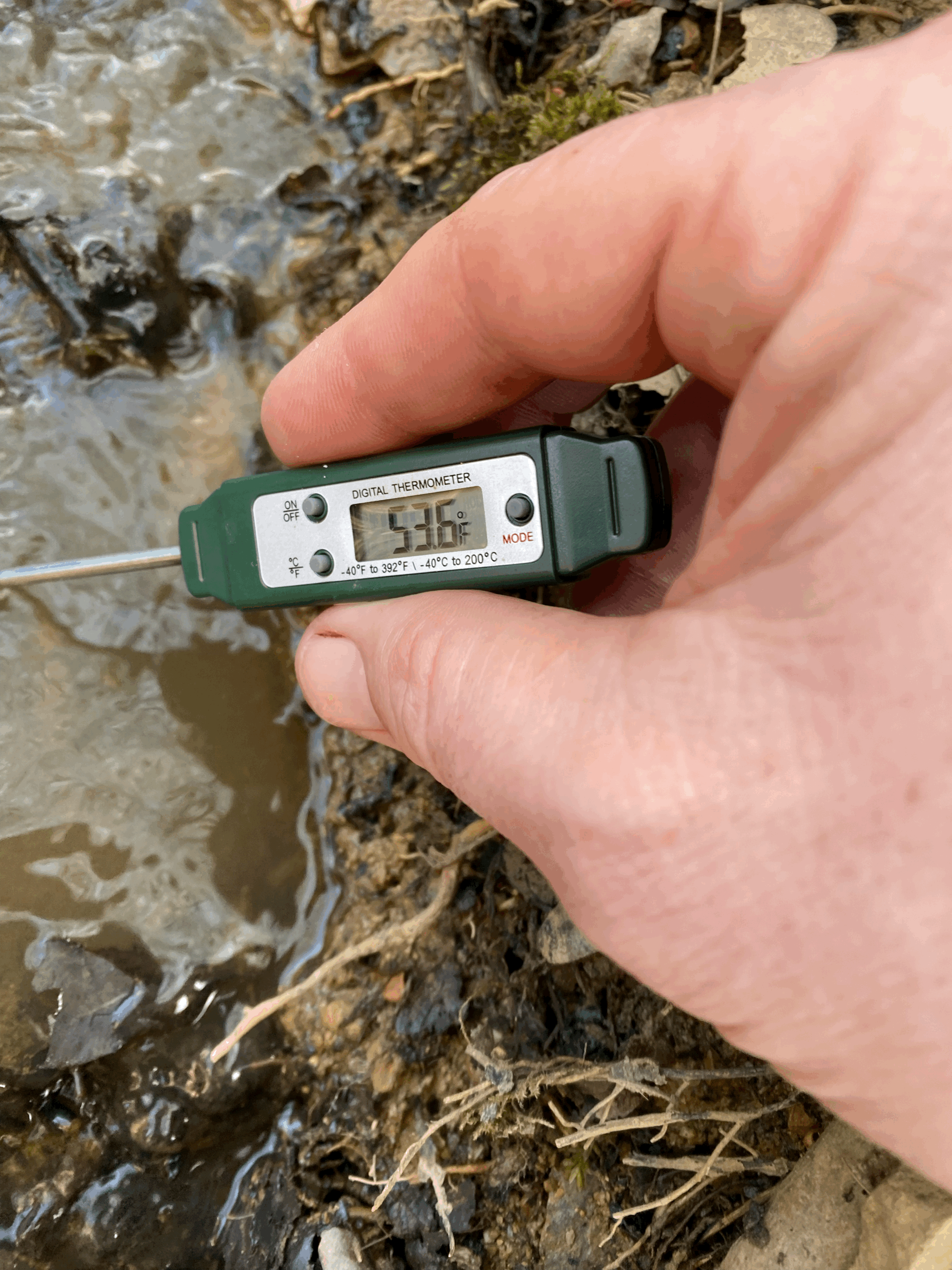 Temperature observations across the system — 08 April