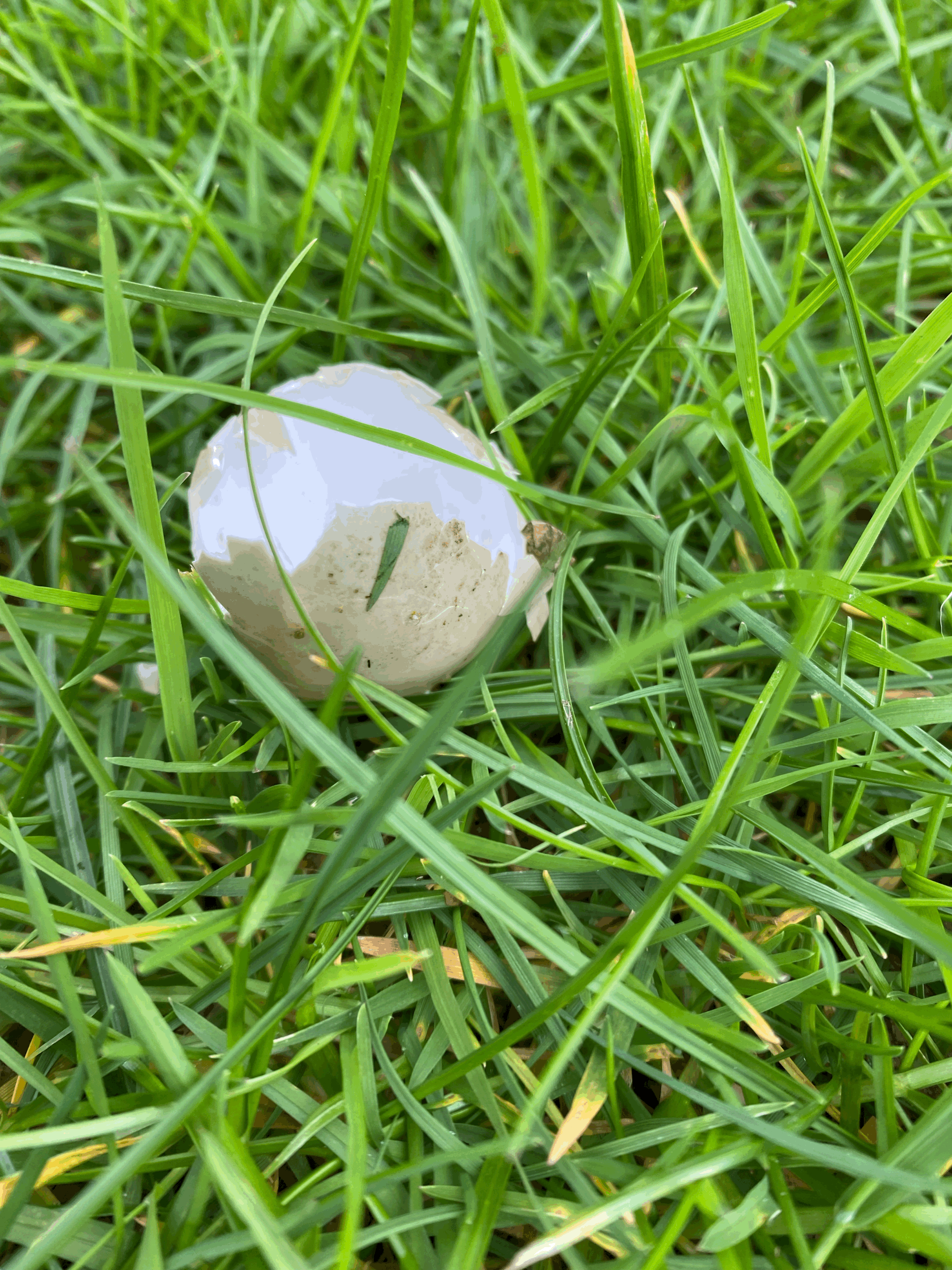 Biological activity and species observations — 07 April