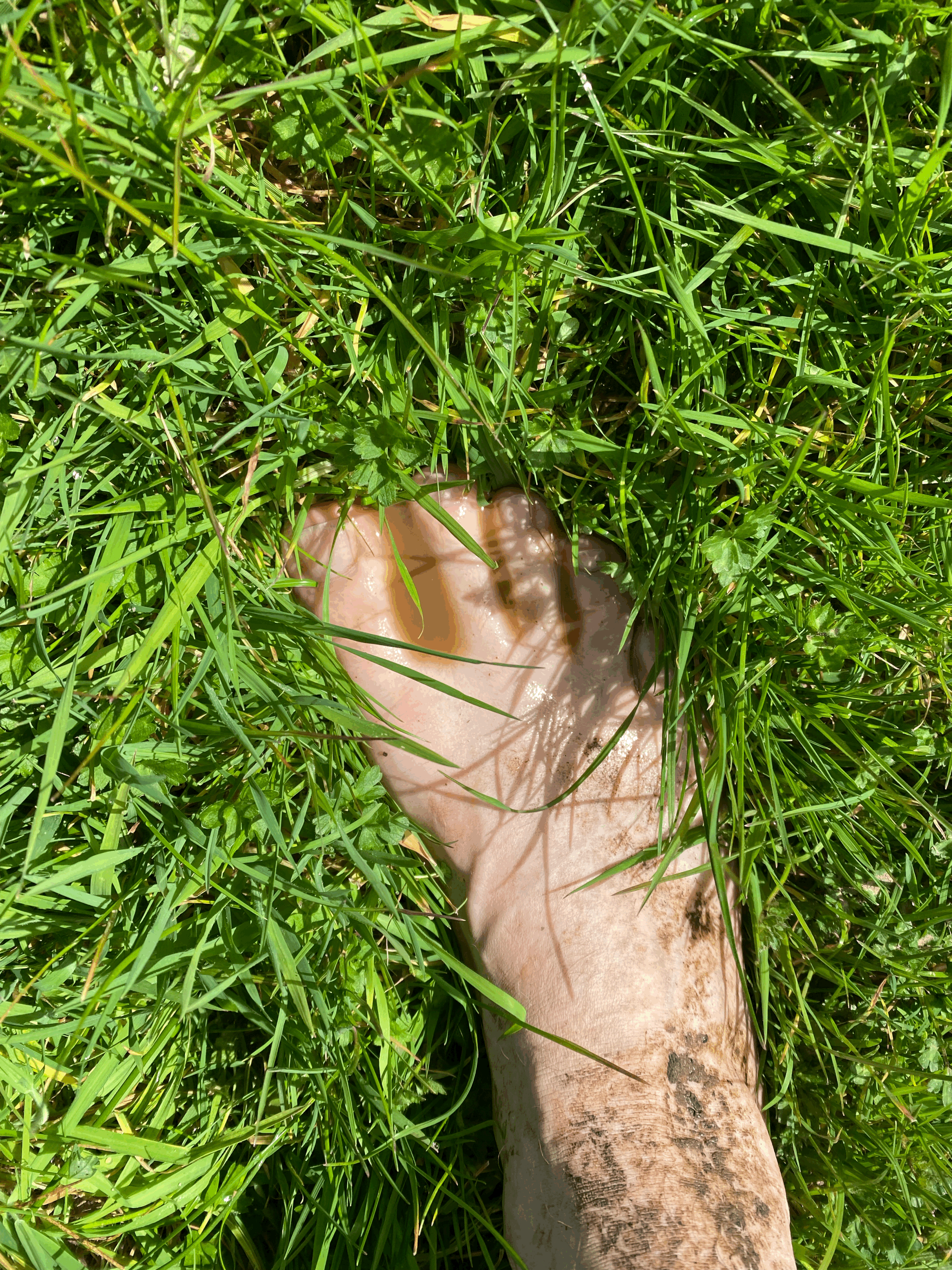 Subsurface seepage along removed hedge line — 08 April