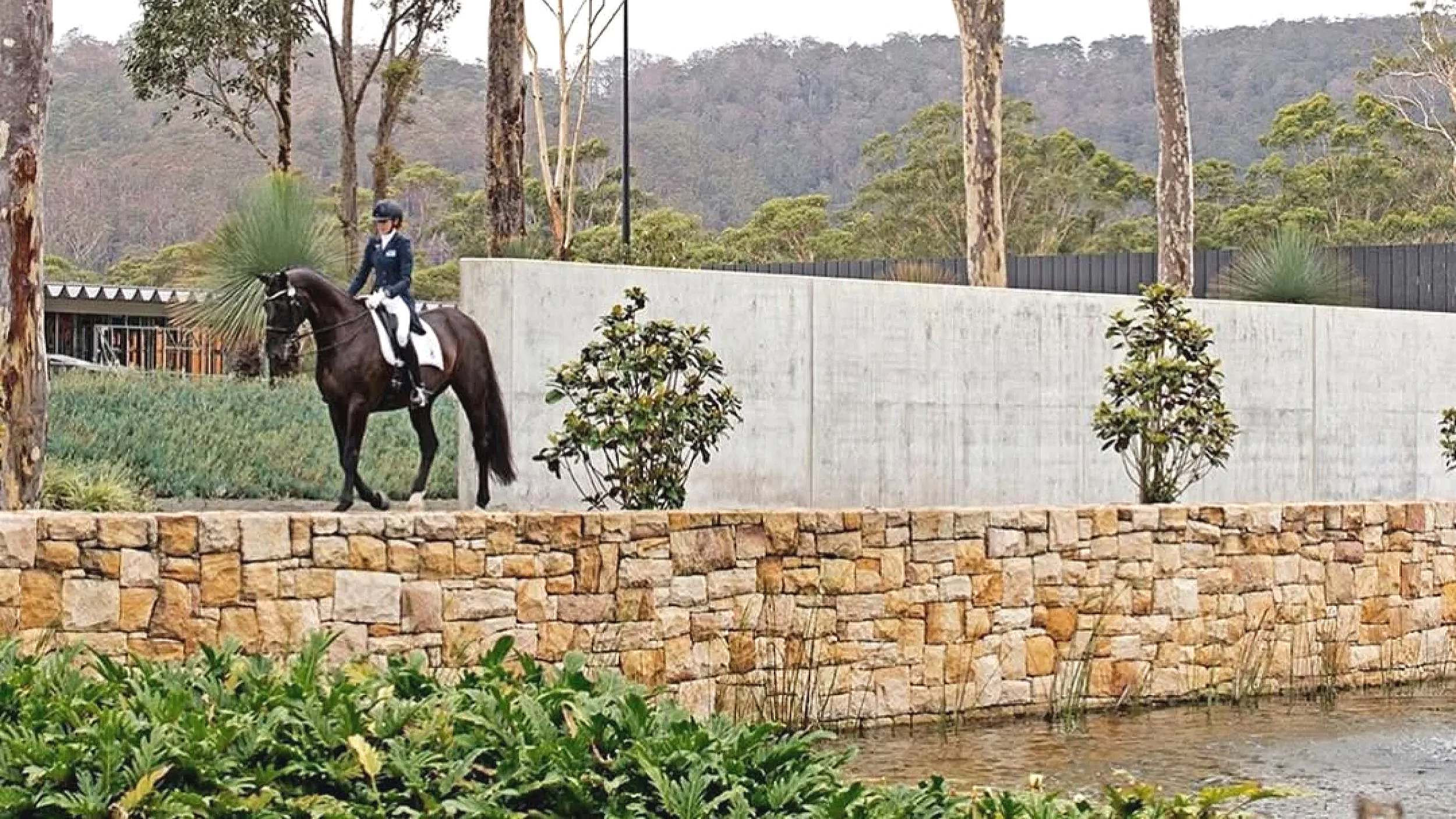 A person in riding attire on a dark horse, standing on a stone and brick wall near water, with trees and a concrete wall in the background.
