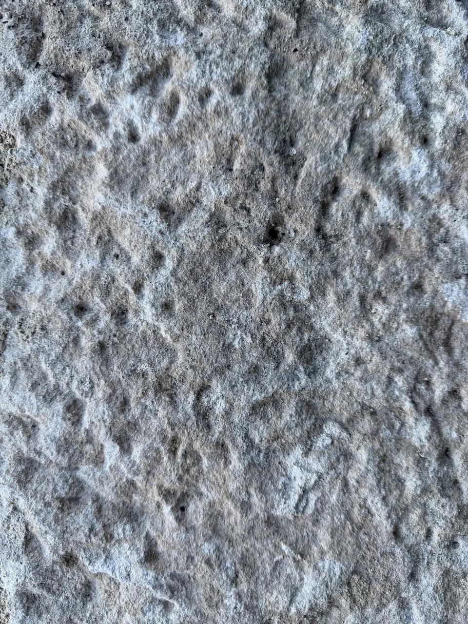 IMG_0368.jpeg