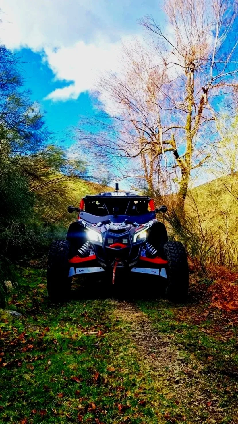 Experiência de tour de buggy off-road em Braga no meio da natureza e paisagens do Minho com árvores e céu azul ao fundo e paisagens do Minho.