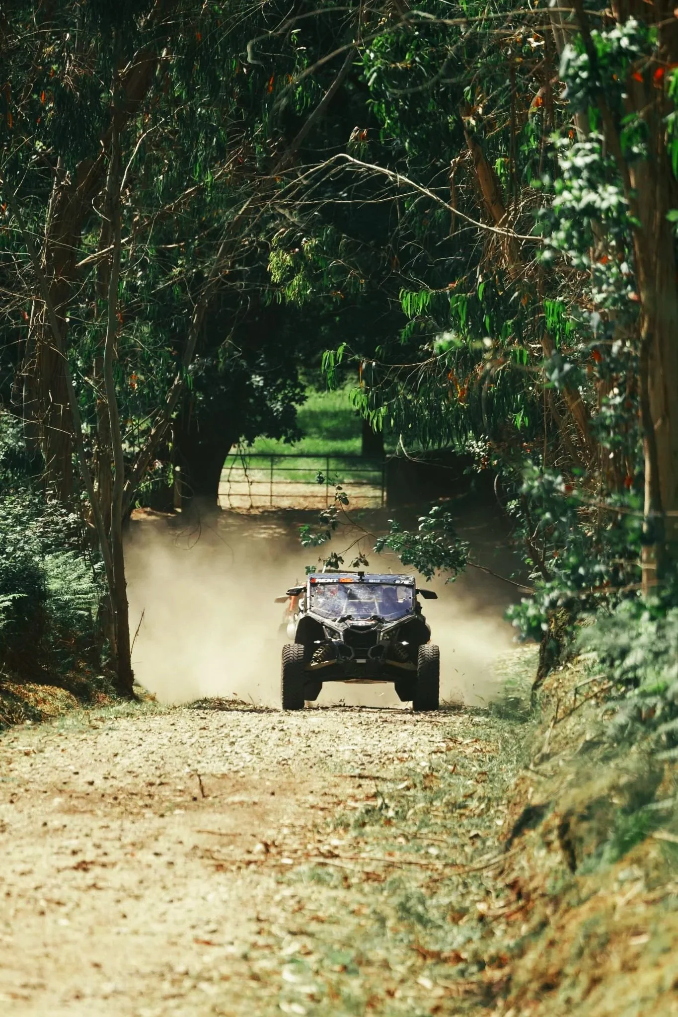 Tour aventura de buggy Can-Am Maverick X3 na natureza por trilhos florestais em Braga Norte de Portugal - Black Buggy Tours