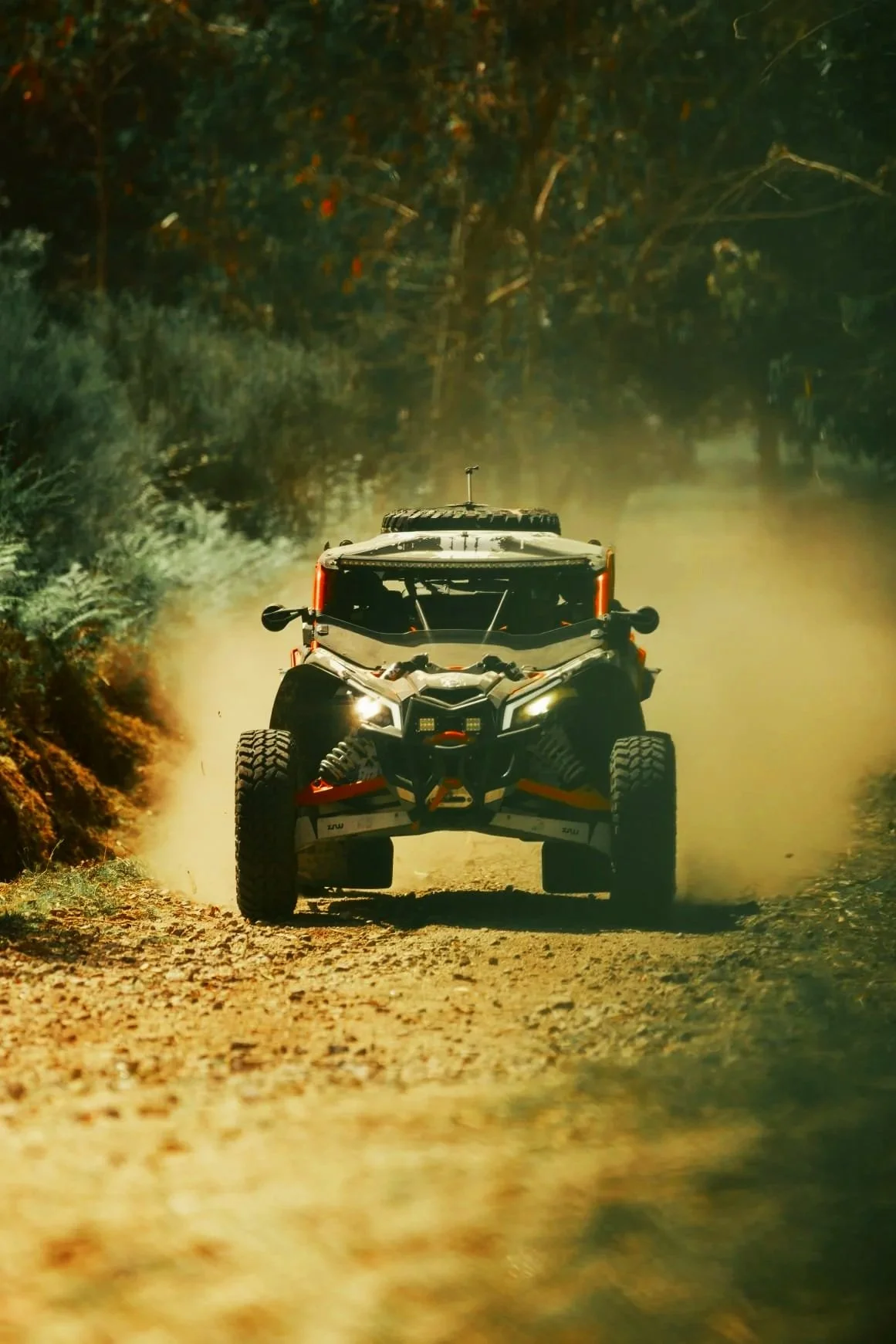 Foto-Black-Buggy-Tours- 2.jpg