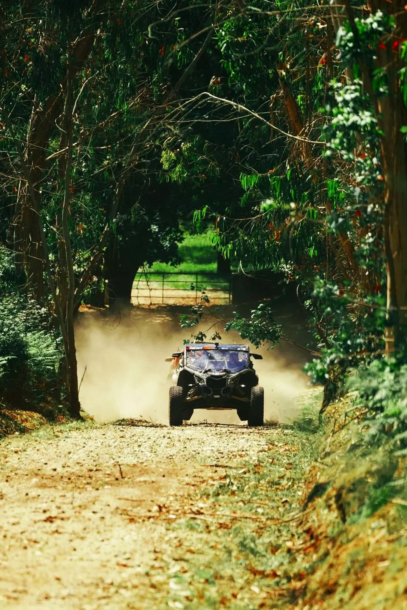 Veículo de off-road, possivelmente um quadriciclo, conduzindo por uma trilha de terra em uma área de floresta densa com árvores verdes.
