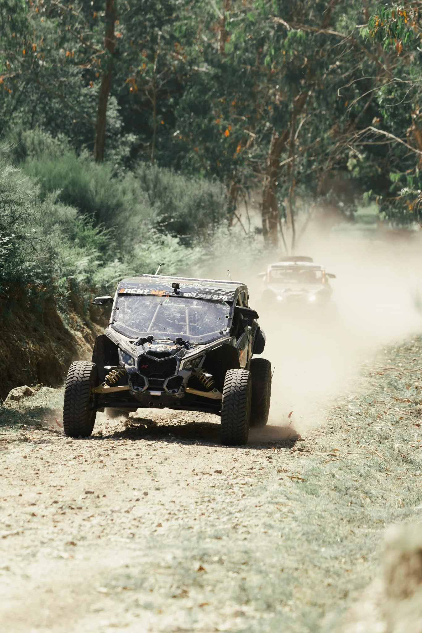 Tour guiado em grupo de buggies por trilhos de floresta em Braga Norte de Portugal - Black Buggy Tours