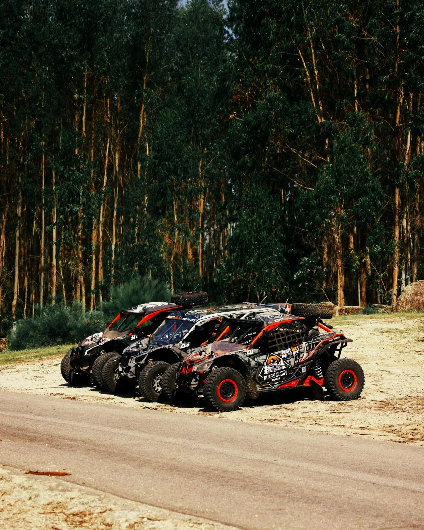 Grupo de veículos off-road em uma área de terra ao lado de uma estrada, com uma floresta de árvores altas ao fundo.