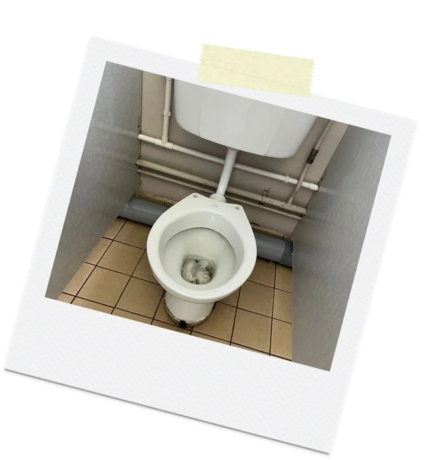 The School Toilet Project