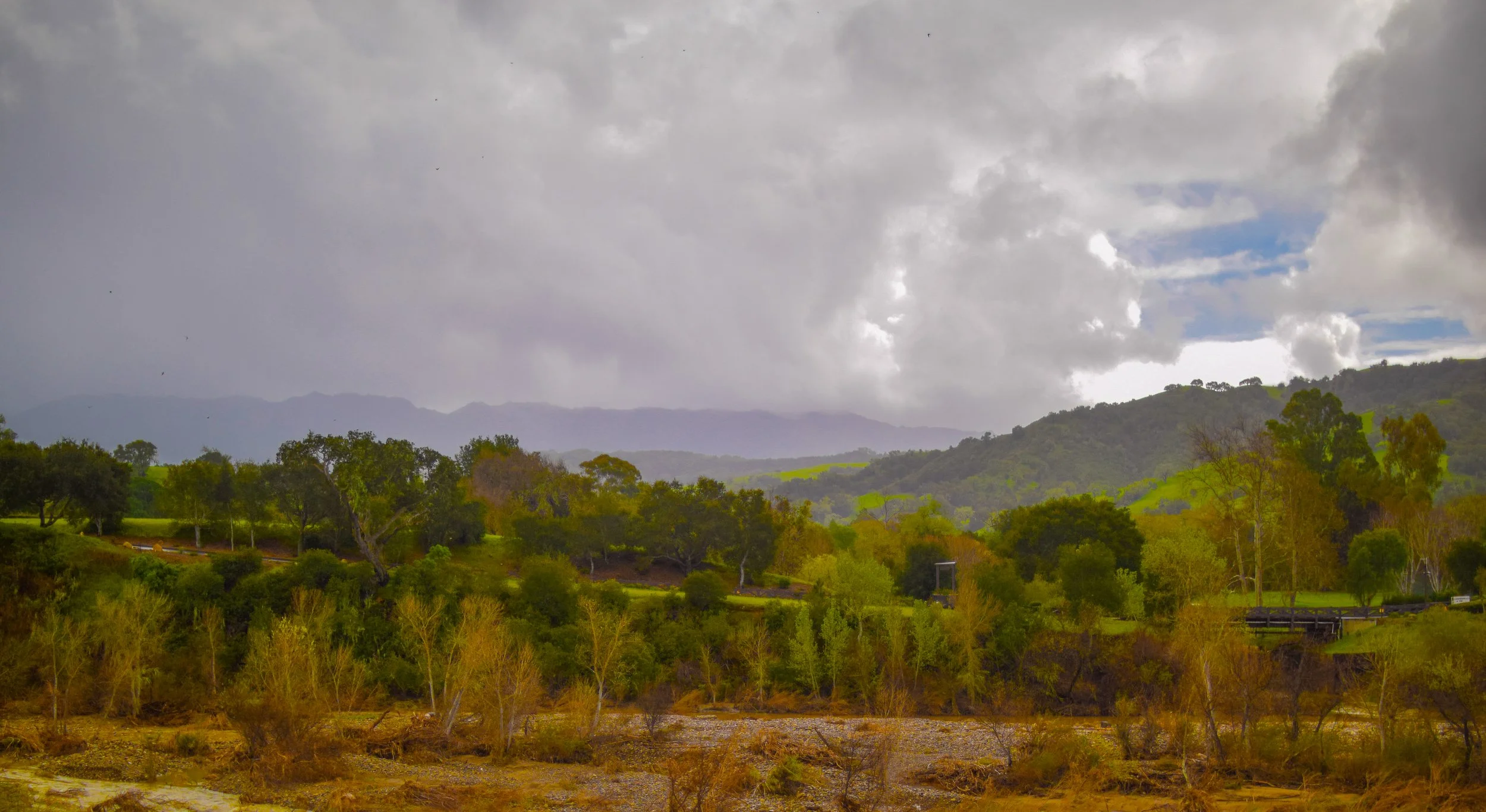 Landscape with green hills, trees, and mountain range under cloudy sky.