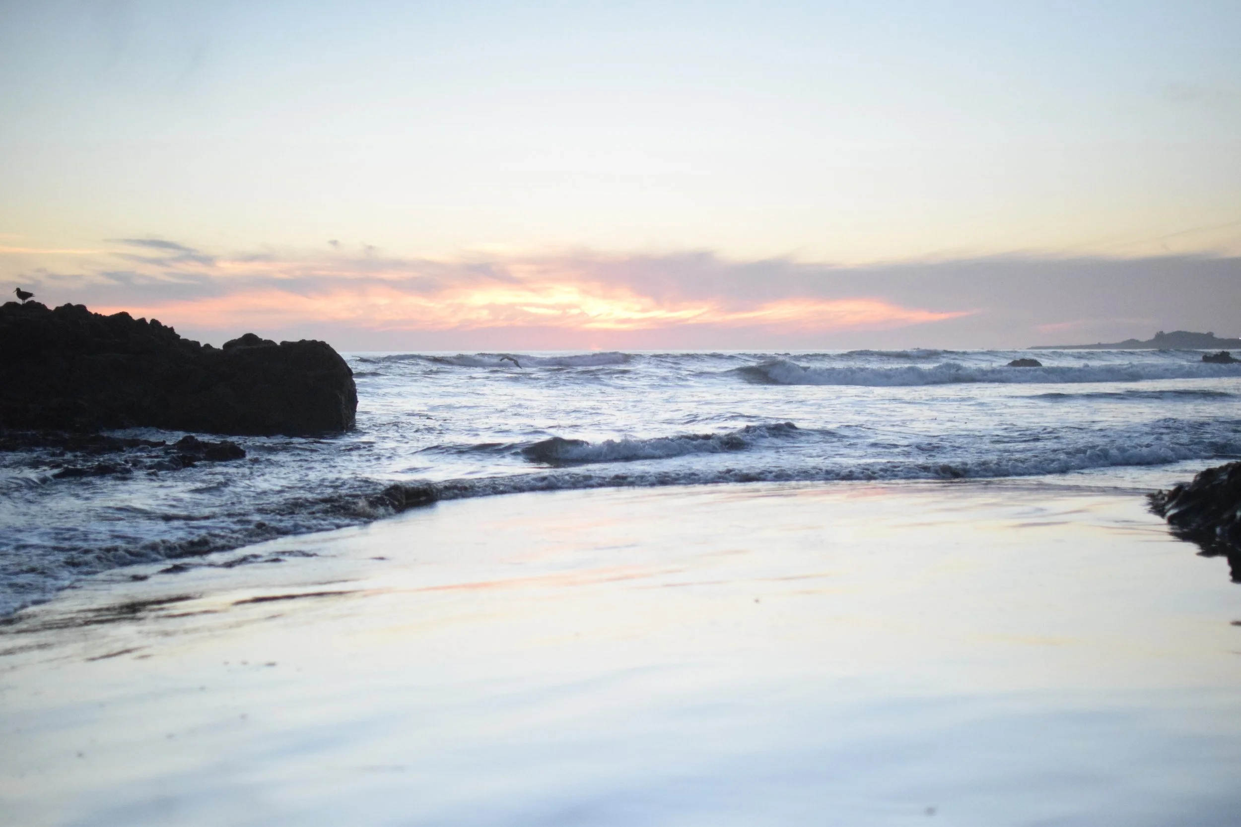 Sunset over the ocean with waves crashing on rocks and a seagull perched on a rocky outcrop in the foreground.