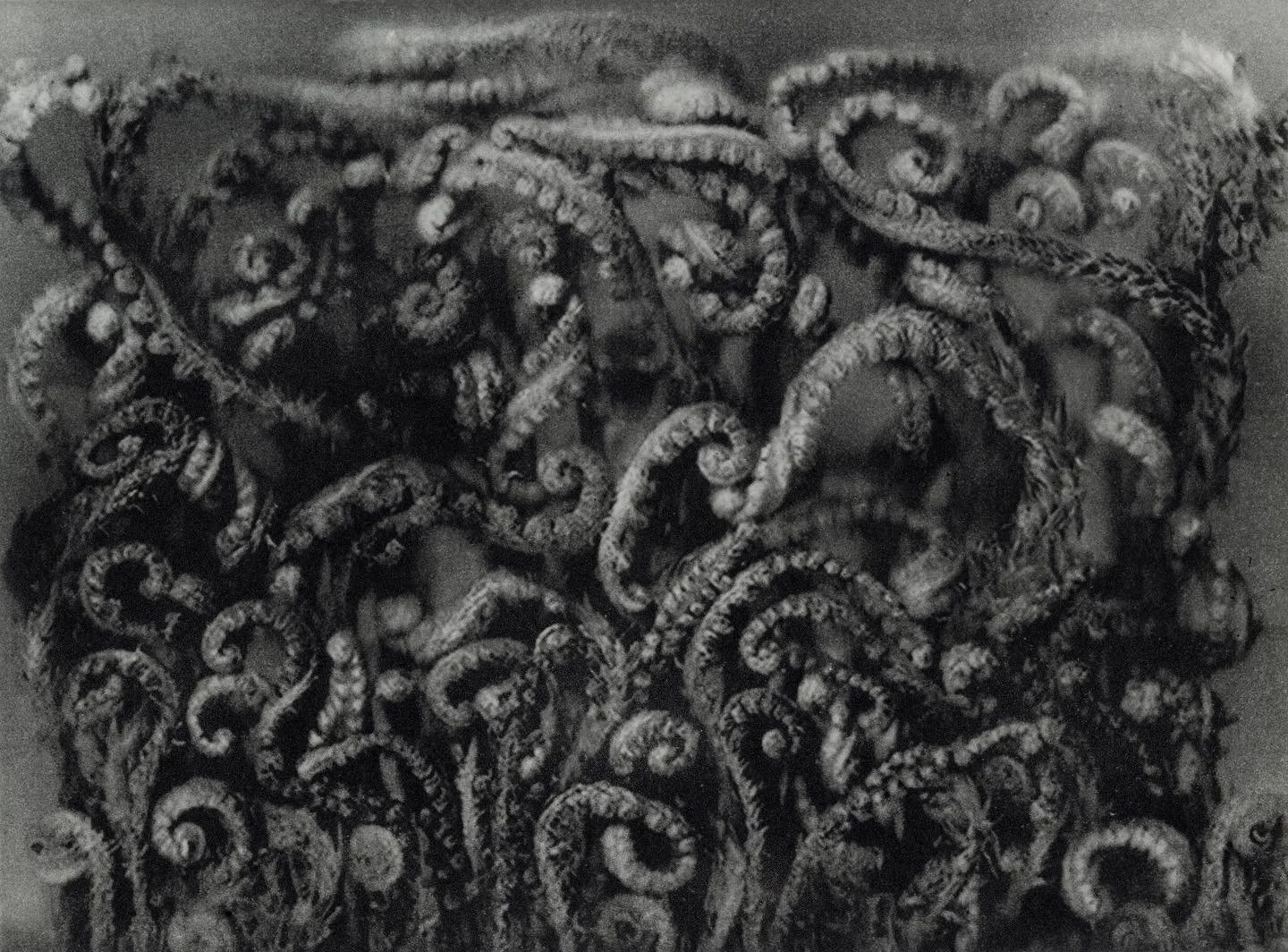 ALTAR 1 (2020/2022)
Photopolymer photogravure on etching paper
18.5 x 14.4cm/ 7.3 x 5.7in

No. 2 of the Edition of 15 + Artist&rsquo;s proof

I am incredibly grateful to the talented @louiseamphotography for the beautiful gallery views. Heartfelt tha