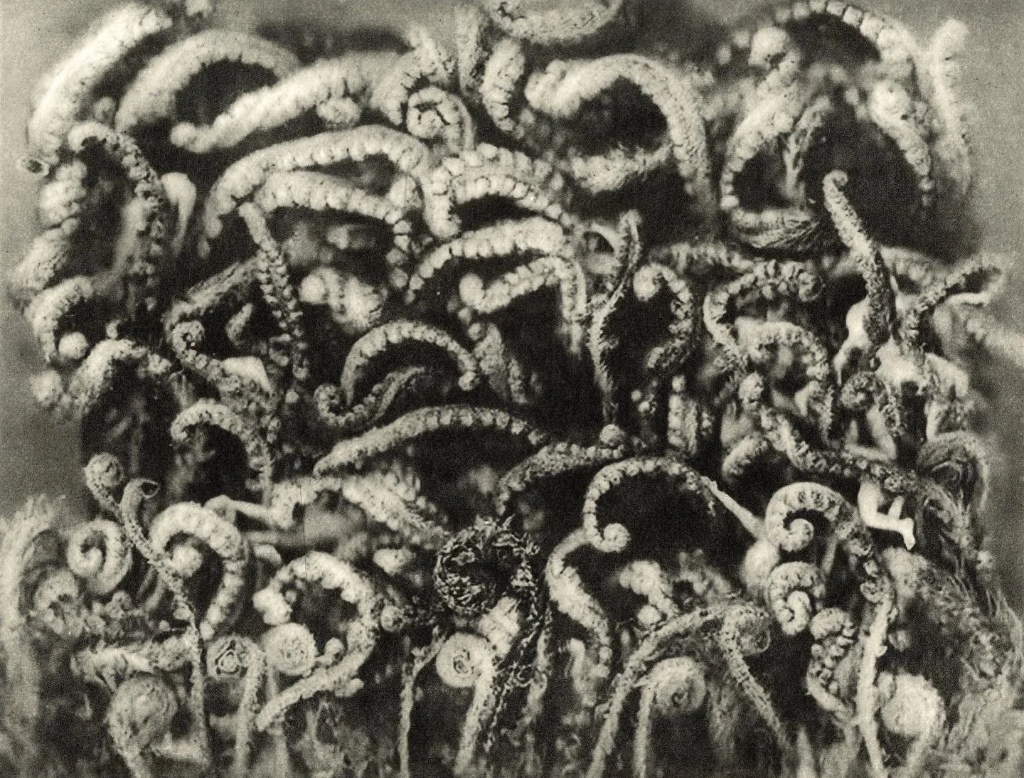ALTAR 2 (2020/2022)
Photopolymer photogravure on etching paper
19.1 x 14.5cm/ 7.5 x 5.7in

No. 1 of the Edition of 20 + Artist&rsquo;s proof

I am incredibly grateful to the talented @louiseamphotography for the beautiful gallery views. Heartfelt tha