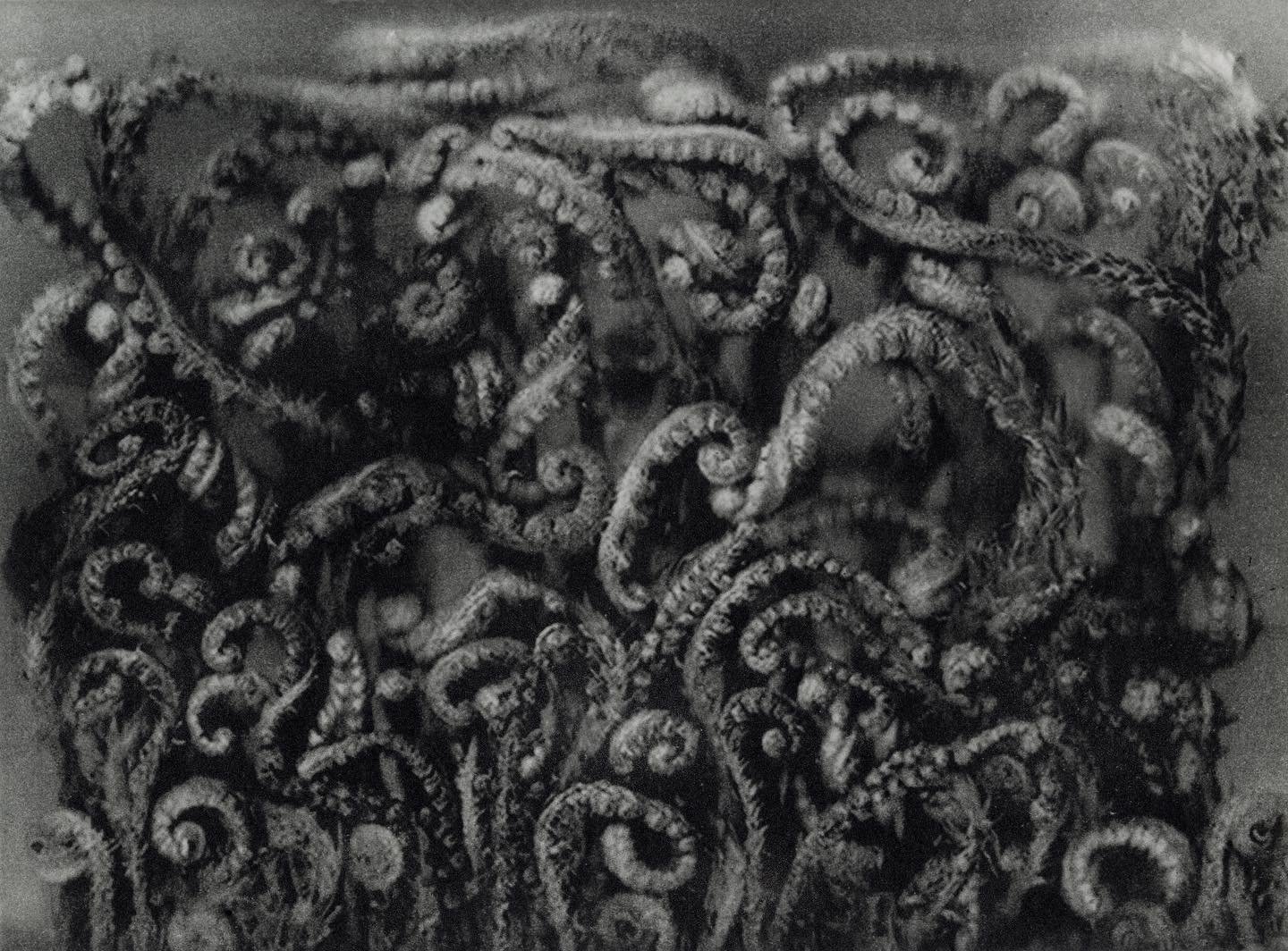 ALTAR 1 (2020/2022)
Photopolymer photogravure on etching paper
18.5 x 14.4cm/ 7.3 x 5.7in

No. 2 of the Edition of 15 + Artist&rsquo;s proof

I am incredibly grateful to the talented @louiseamphotography for the beautiful gallery views. Heartfelt tha