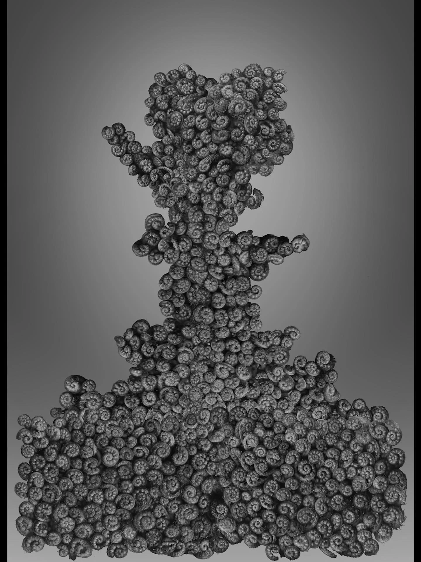 IDOL 2 (2020)
Inkjet print on platinum etching paper
108 x 78.6cm/ 42.5 x 30.9 in

No. 1 of the Edition of 20 + 1 Artist&rsquo;s proof

IDOL 1 and IDOL 2 were created during the first COVID-19 lockdown, using clusters of unfurling fern fronds scanned