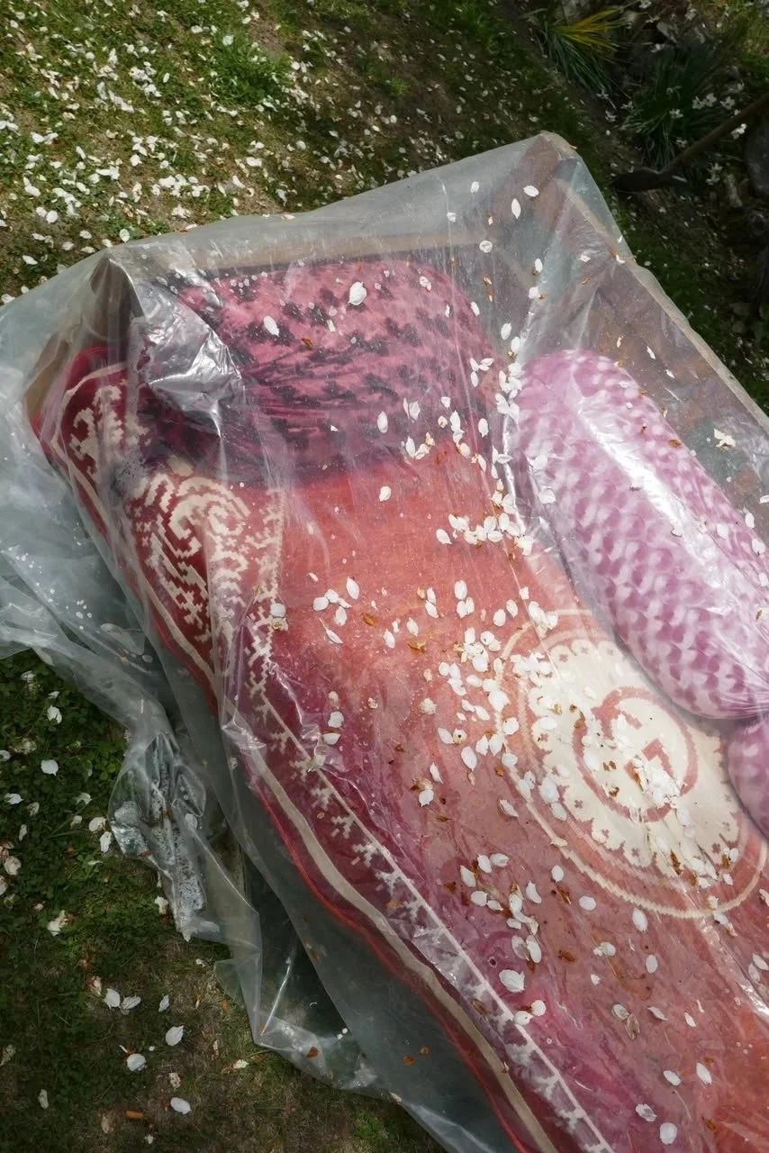 A lost outdoor sofa cover with flower petals, partially wrapped in a plastic sheet, on grass with scattered petals.