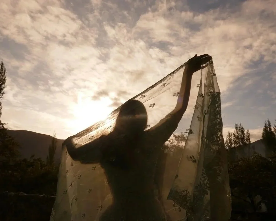 Silhouette of a person holding a sheer embroidered fabric against the sunset sky, mountains and trees in the background.