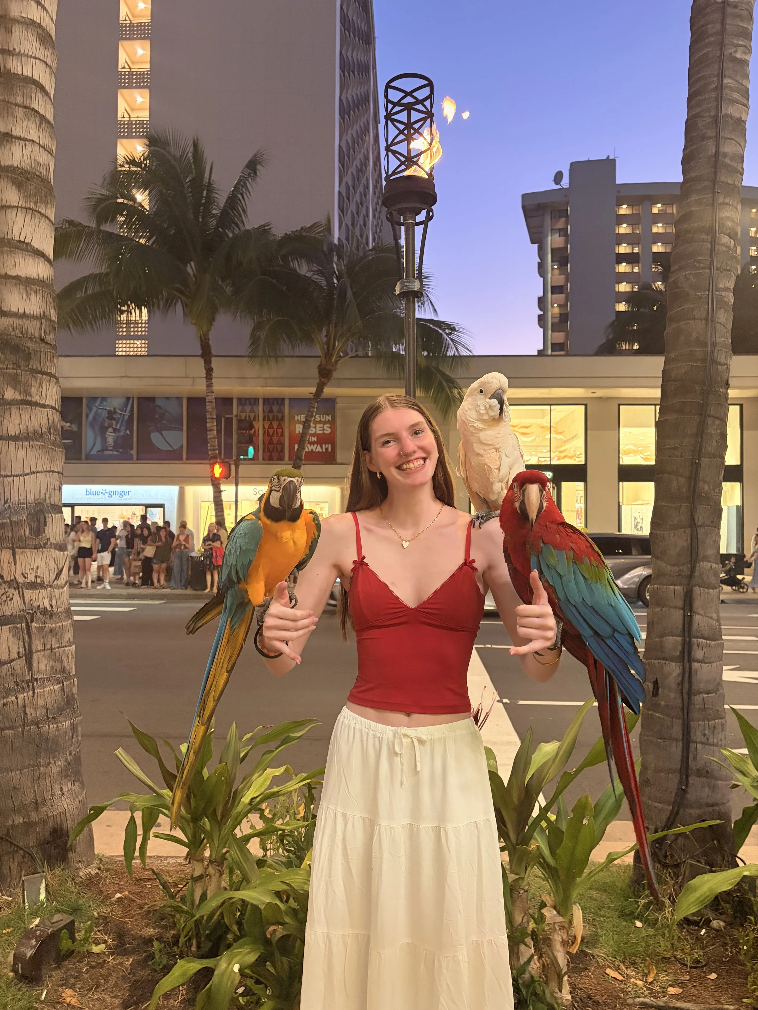 A smiling young woman in a red top and white skirt standing outdoors at dusk with three colorful parrots perched on her arms and shoulders, in front of palm trees and city buildings.