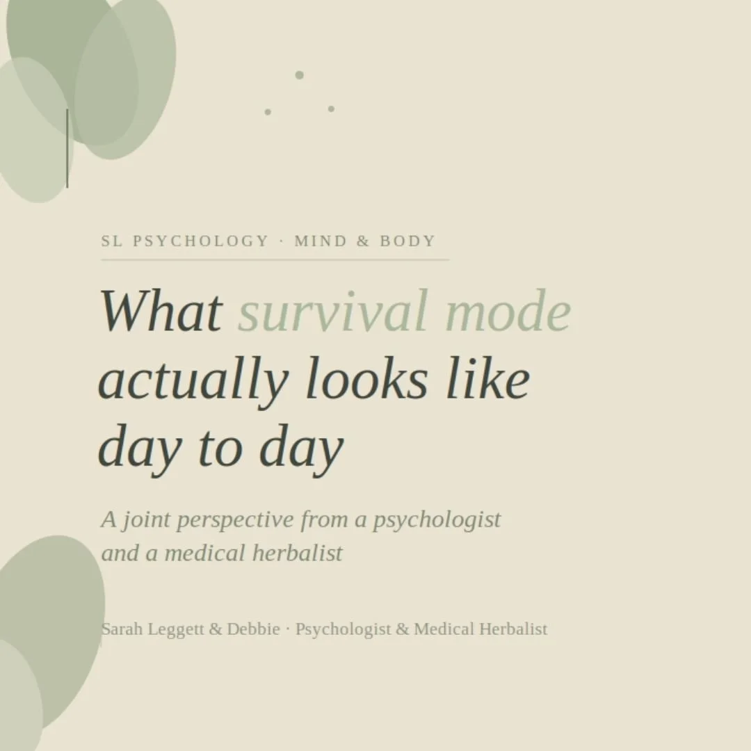 What Survival Mode Actually Looks Like Day to Day