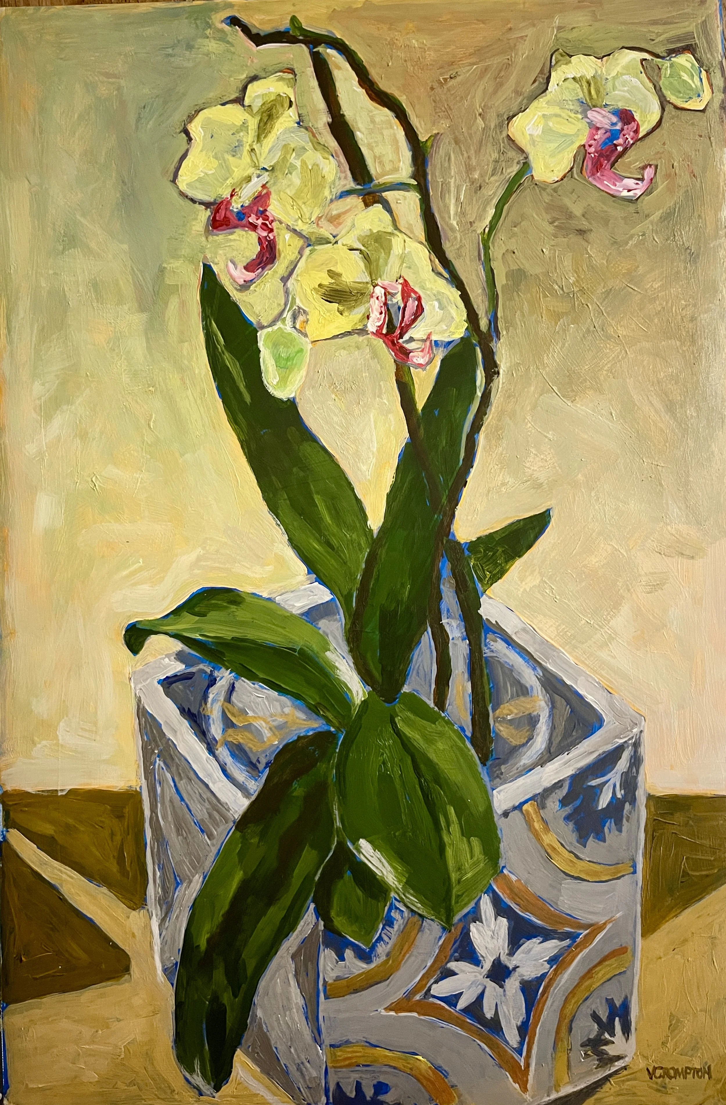 Square Pot, Round Plant