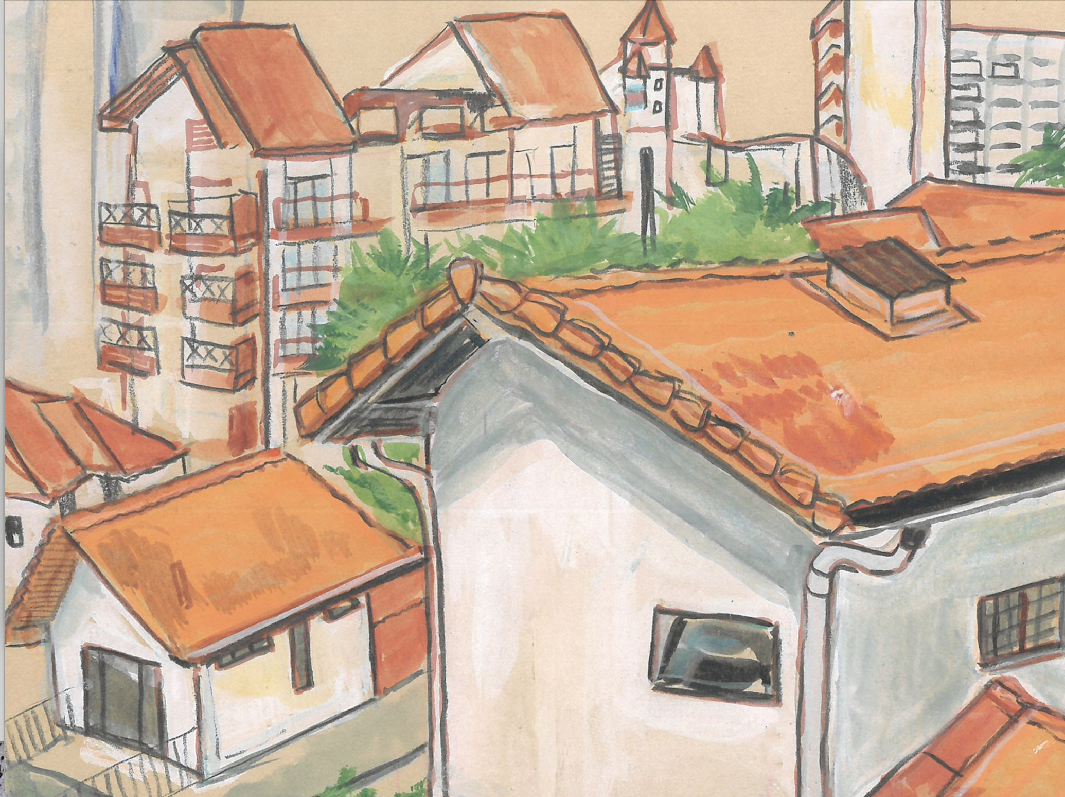 cropped.png