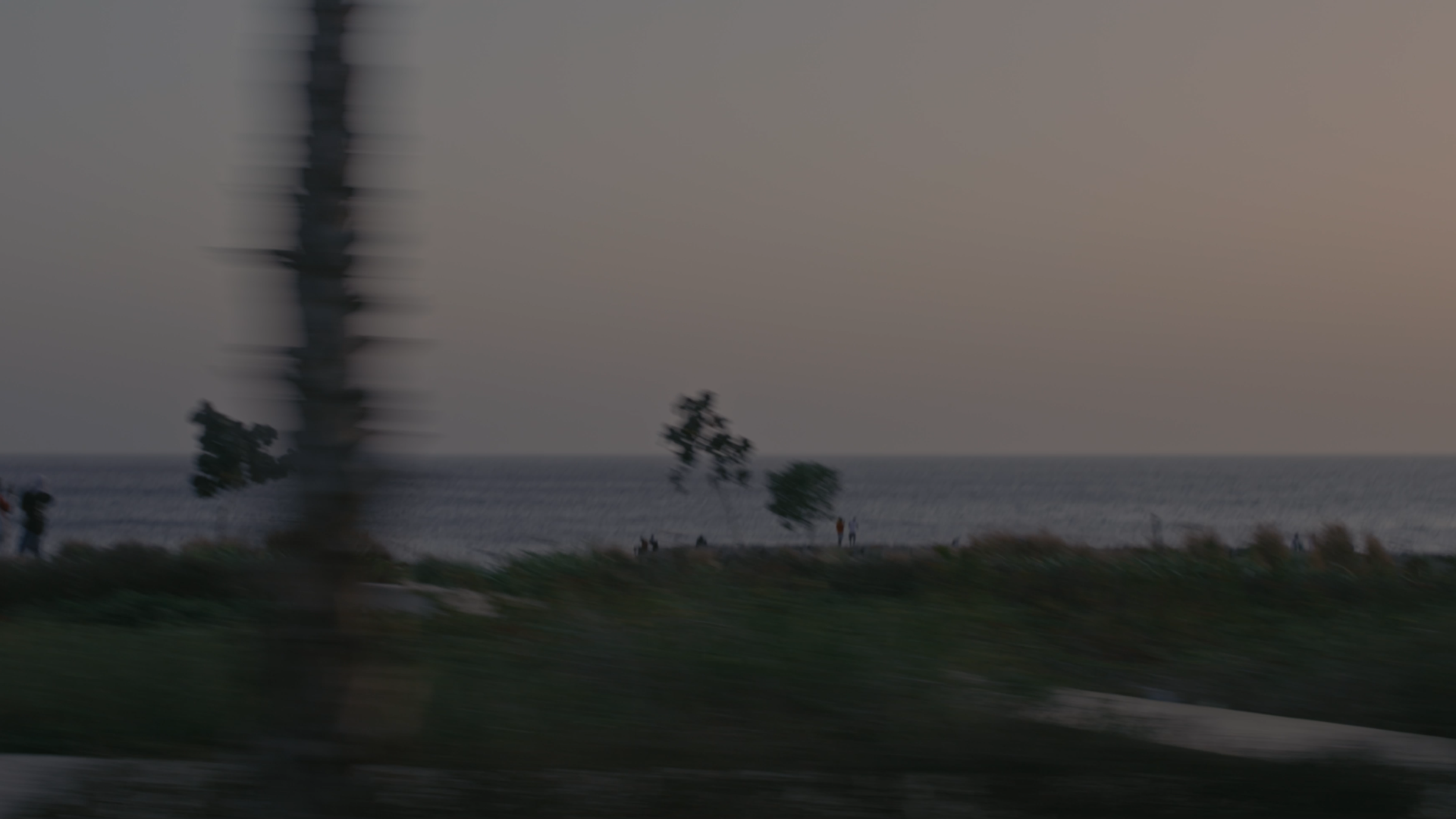 Still 2026-03-14 152204_1.1.41.png