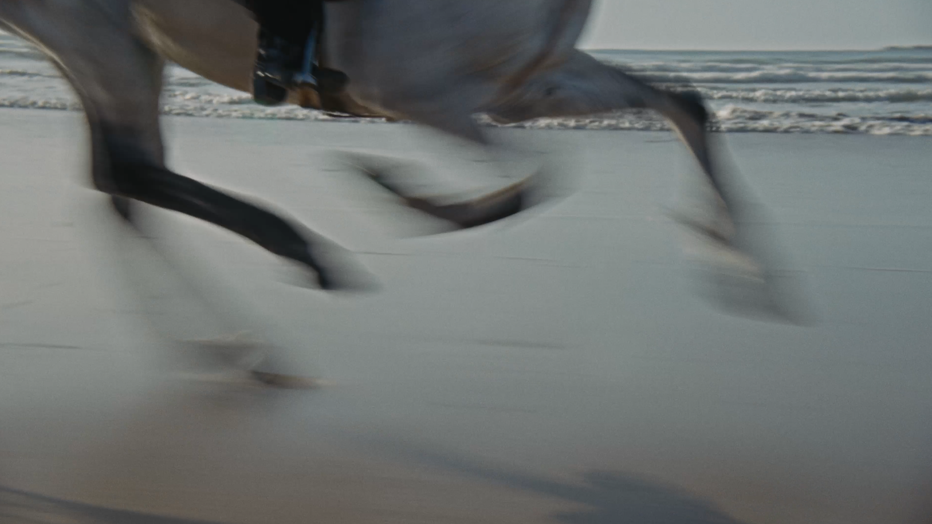 Still 2026-03-15 001518_1.1.27.png