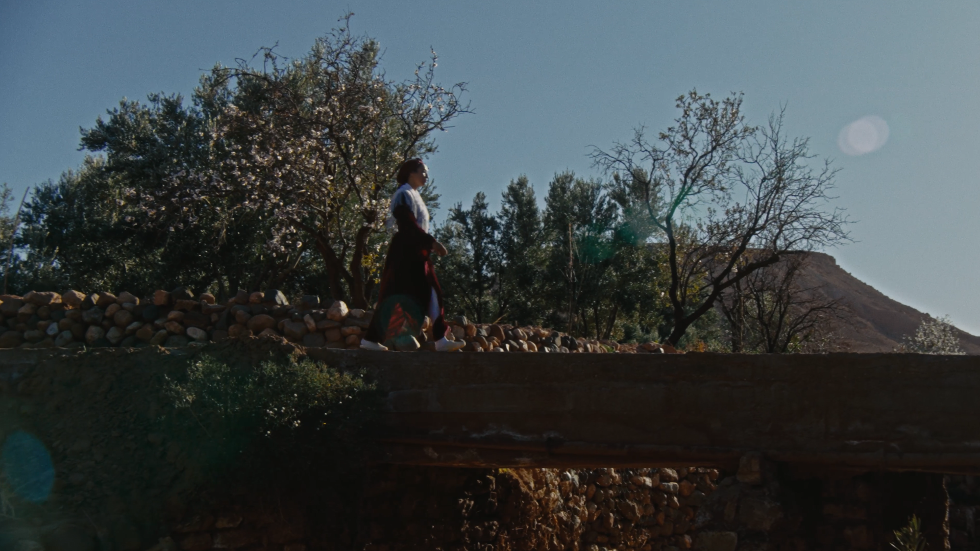 Still 2026-03-15 001518_1.1.12.png