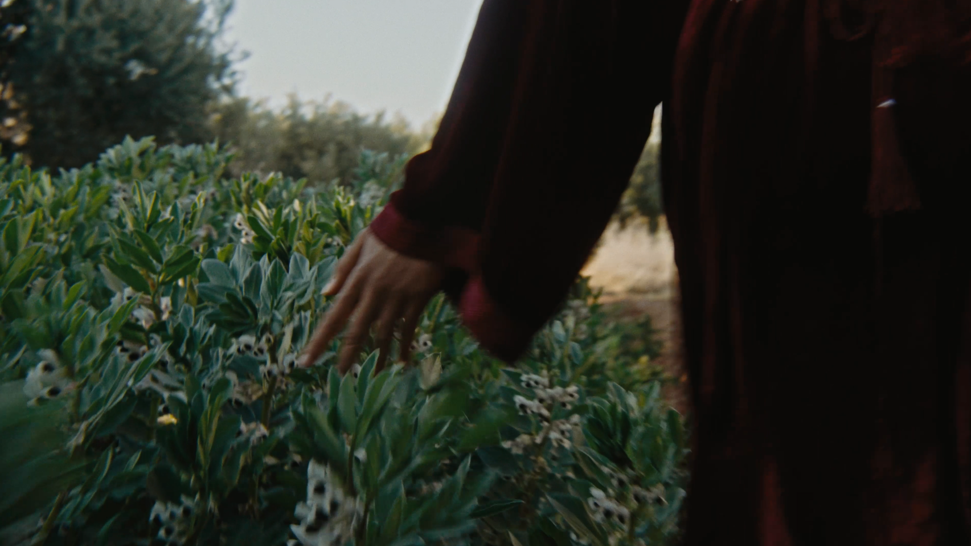 Still 2026-03-15 001518_1.1.29.png