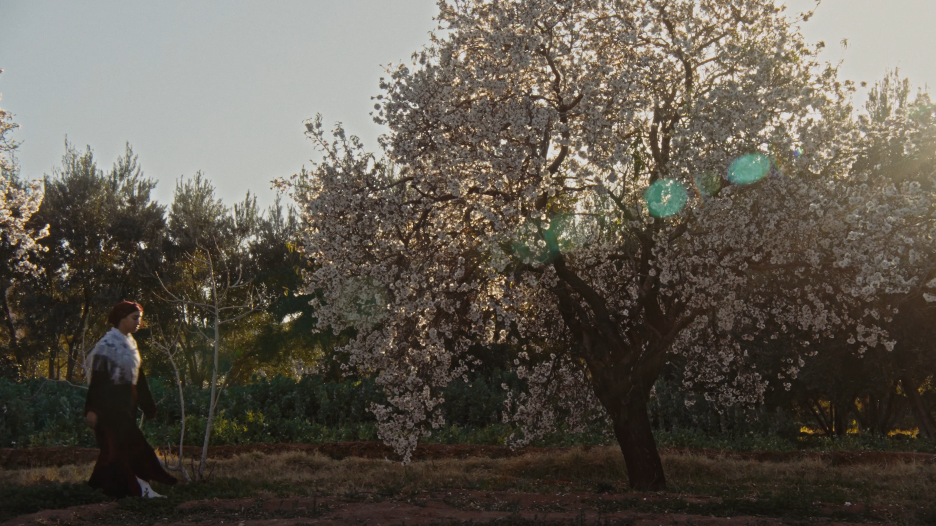 Still 2026-03-15 001518_1.1.30.png