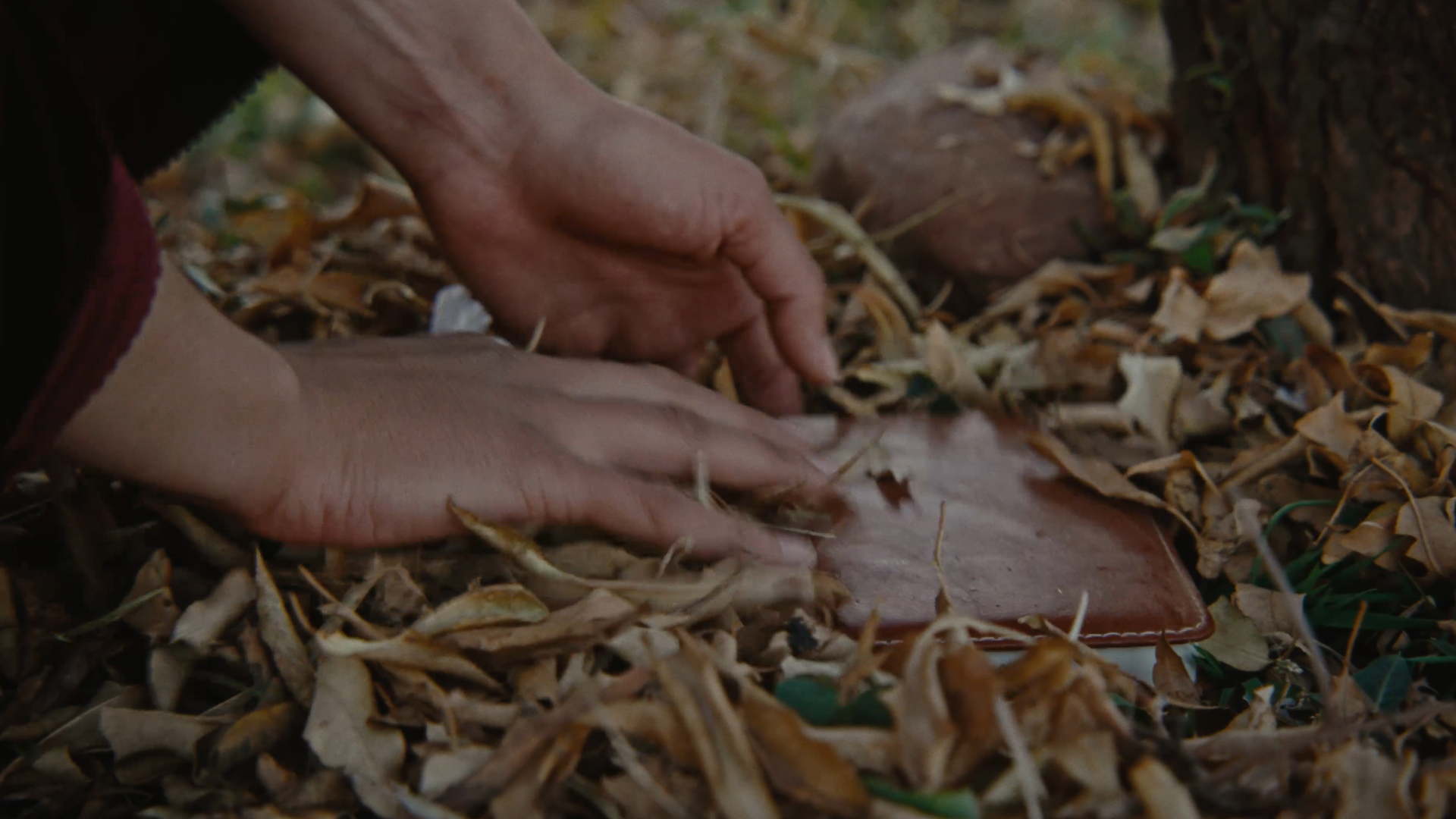 Still 2026-03-15 001518_1.1.31.png