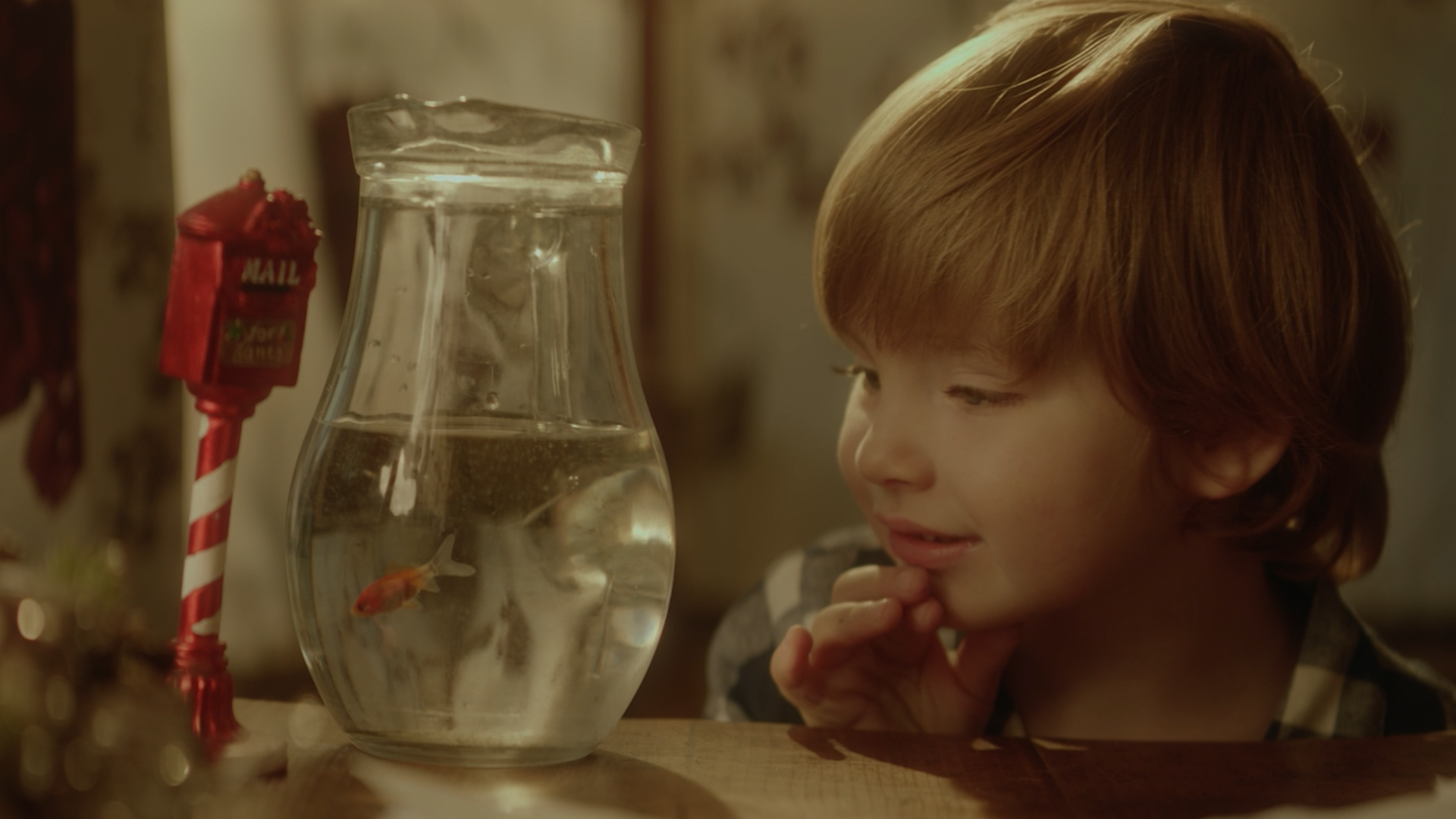 Z-PROJECT - commercial