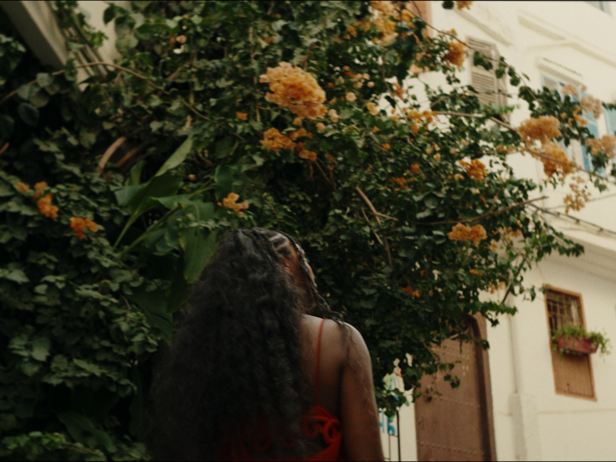 Still 2026-03-15 013343_3.1.11.png